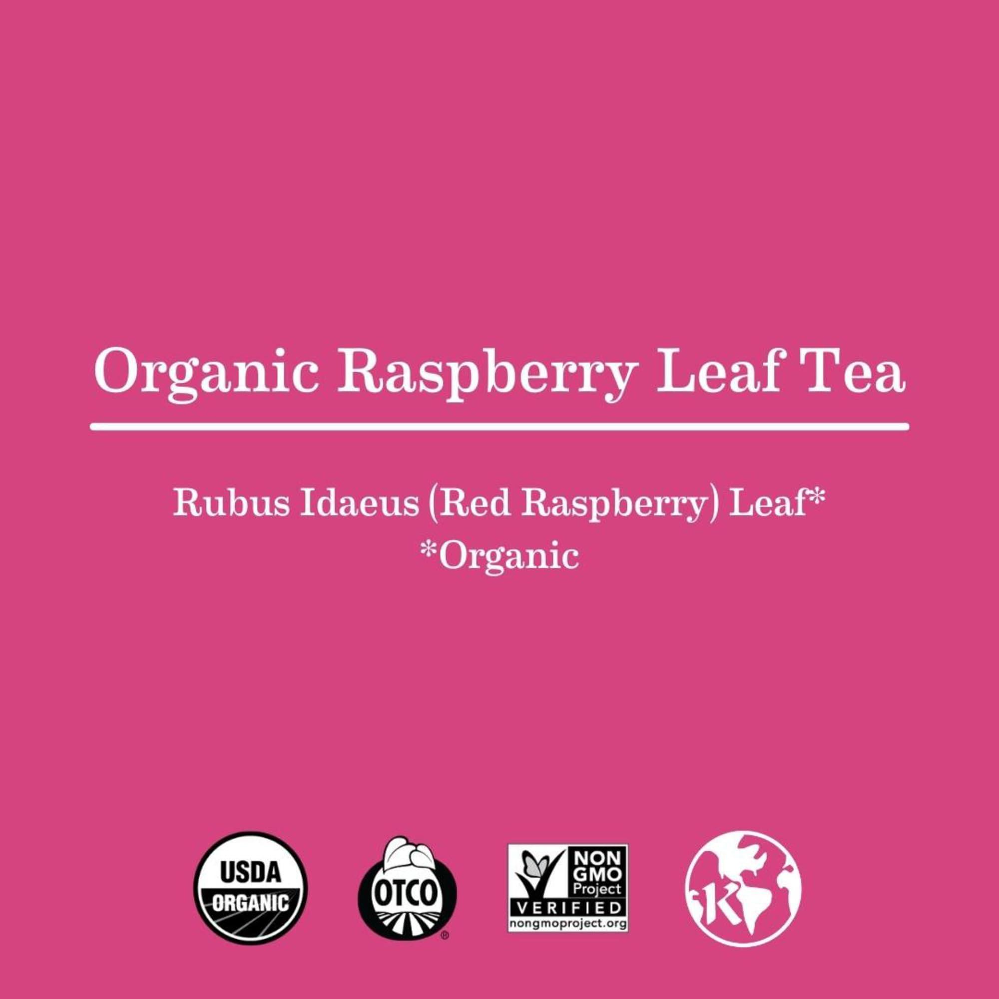 Earth Mama Earth Mama Organic Raspberry Leaf Tea Bags | Labor Tonic & Menstrual Support Herbal Tea, Red Raspberry Leaf Tea for Pregnancy & Postpartum Care Recovery, Caffeine Free Tea, Non GMO, (16 Teabags)