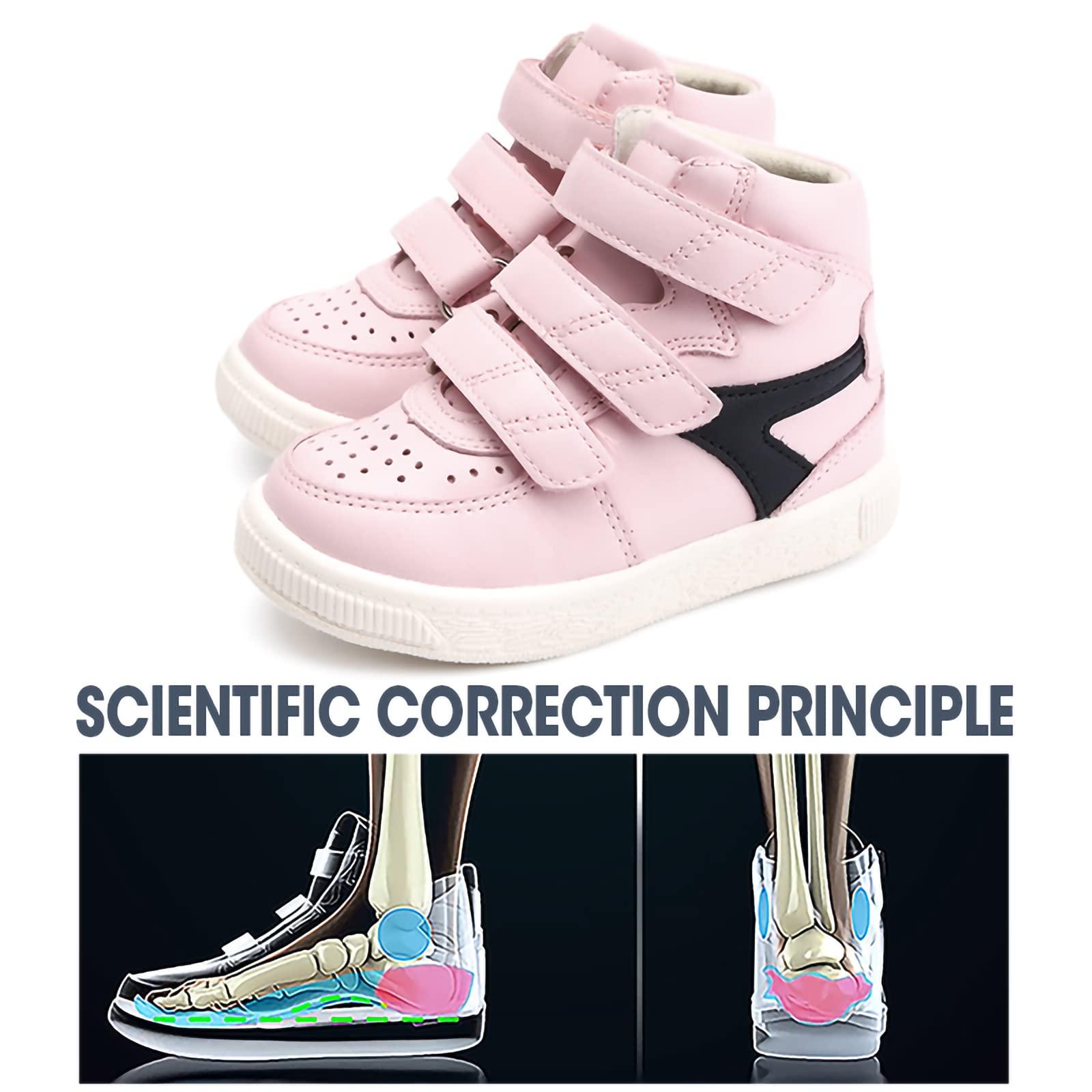 Durkee Durkee Onion Powder - 20 oz. container, 6 per case