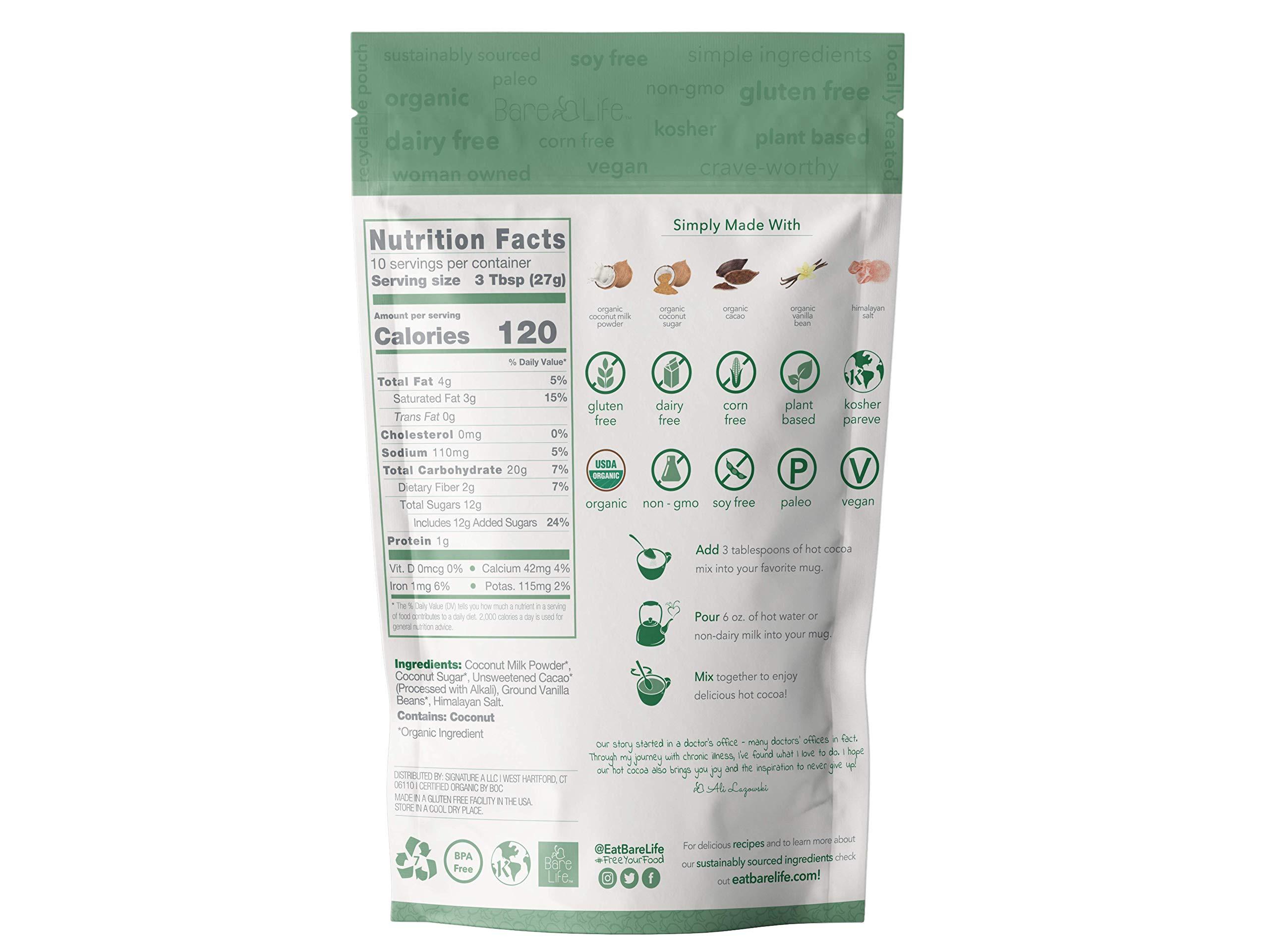 Bare Life Bare Life: Dairy Free Coconut Hot Cocoa Mix Pouch | Gluten Free, Vegan, USDA Organic, Plant Based, Paleo, Soy Free, Corn Free, Lactose Free, Kosher Pareve, Refined Sugar Free, Hot Chocolate - Just Add Hot Water, 9.52 oz.