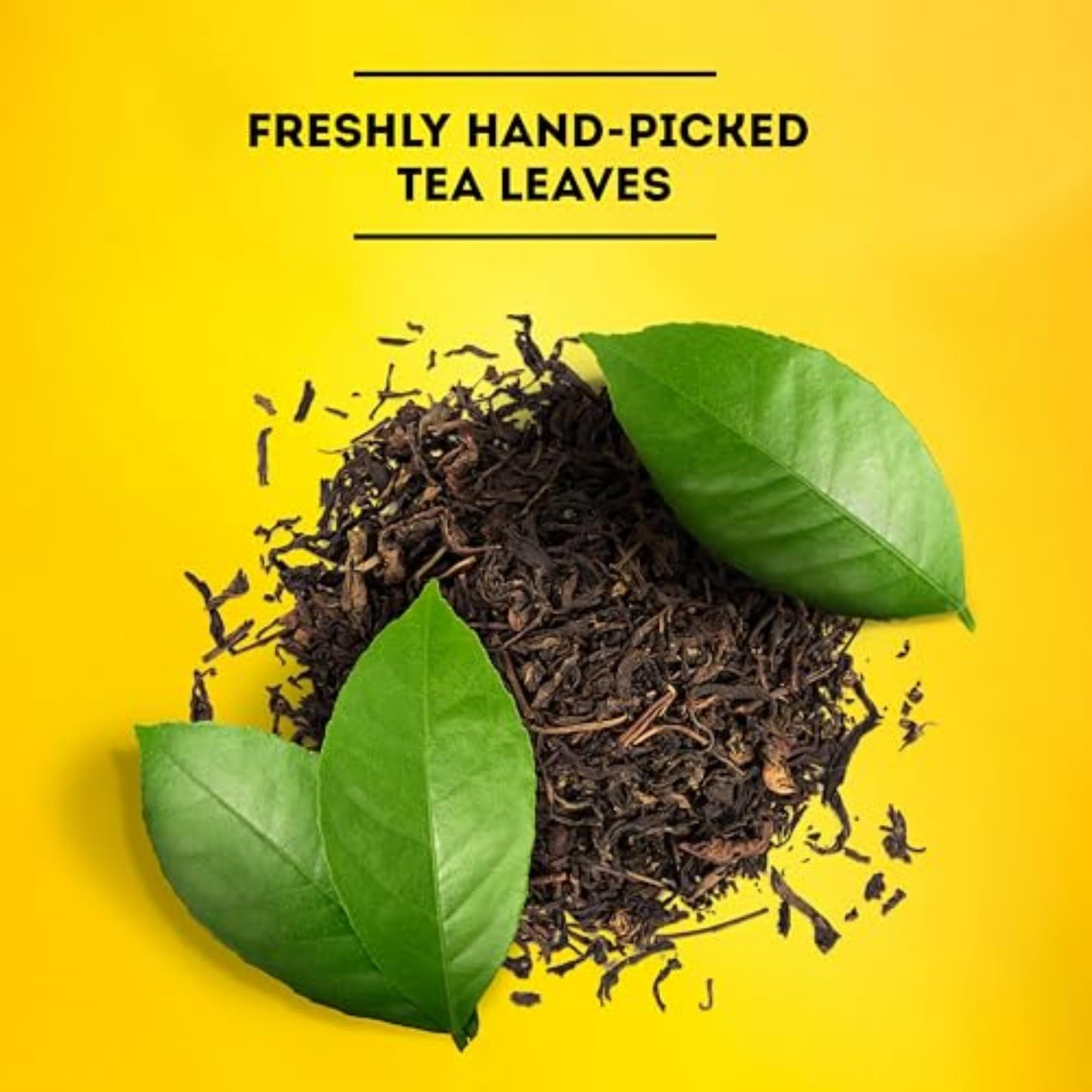 Lipton Lipton Unsweetened Iced Tea Bags, Family Size Zero Calories, 48 Total Bags