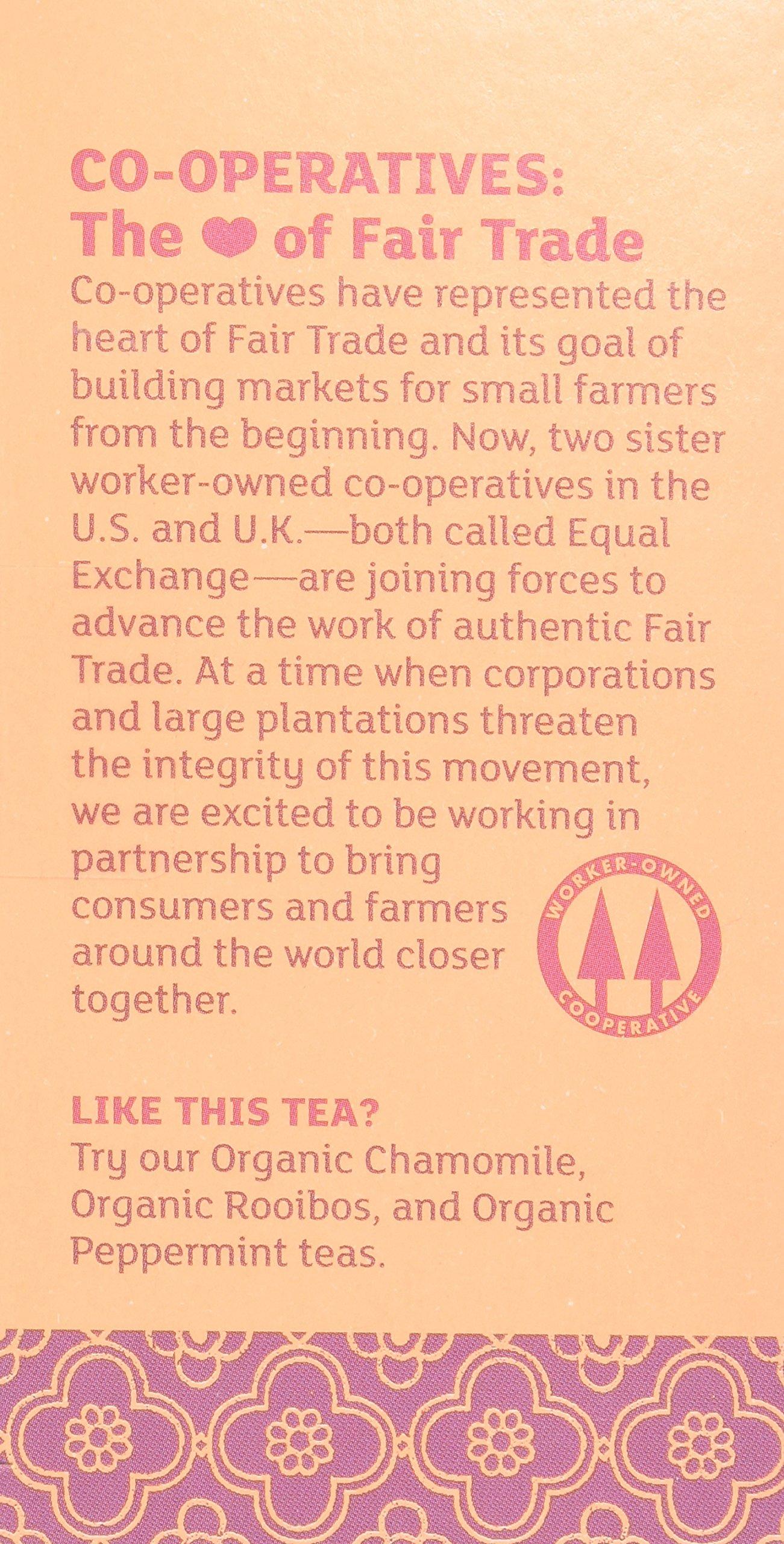 Equal Exchange Equal Exchange Organic Vanilla Rooibos Tea, 20-Count