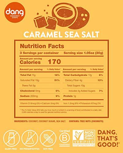 DANG Dang Toasted Coconut Chips | Caramel Sea Salt | 12 Pack | Vegan, Gluten Free, Non GMO, Healthy Snacks Made with Whole Foods | 3.17 Oz Resealable Bags