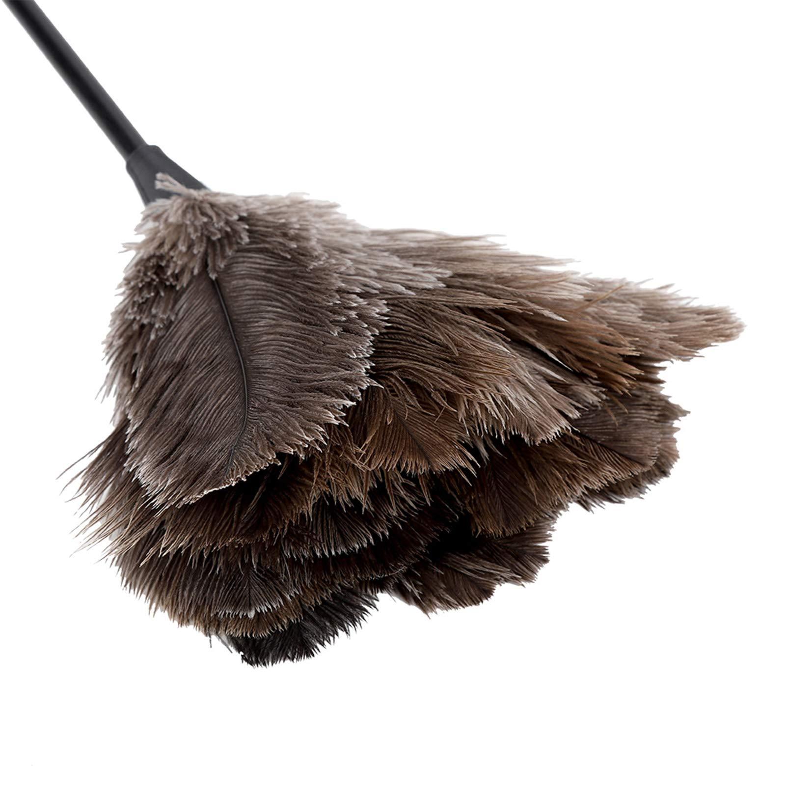 QiaNgshuAikj 34cm Premium Quality Genuine Ostrich Feather Duster – Attracts Dust Particles - Thick Soft Feathers - Durable Ergonomic Wooden Handle – Easy Efficient Dusting