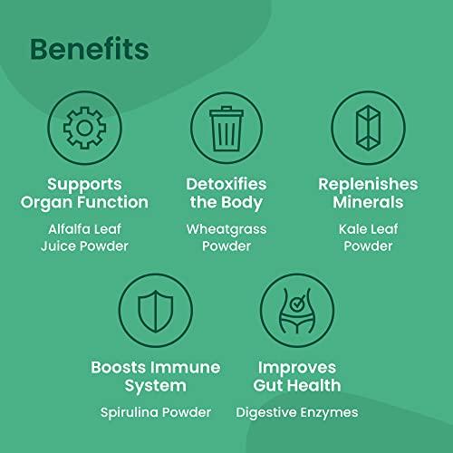 MIXHERS MIXHERS Hergreens - Greens & Veggie Powder - Made from Whole Foods - with Digestive Enzymes & Kale - Nutrition Designed for Women - Support Heart & Liver - 15 Drink Packets - Mint Lemonade