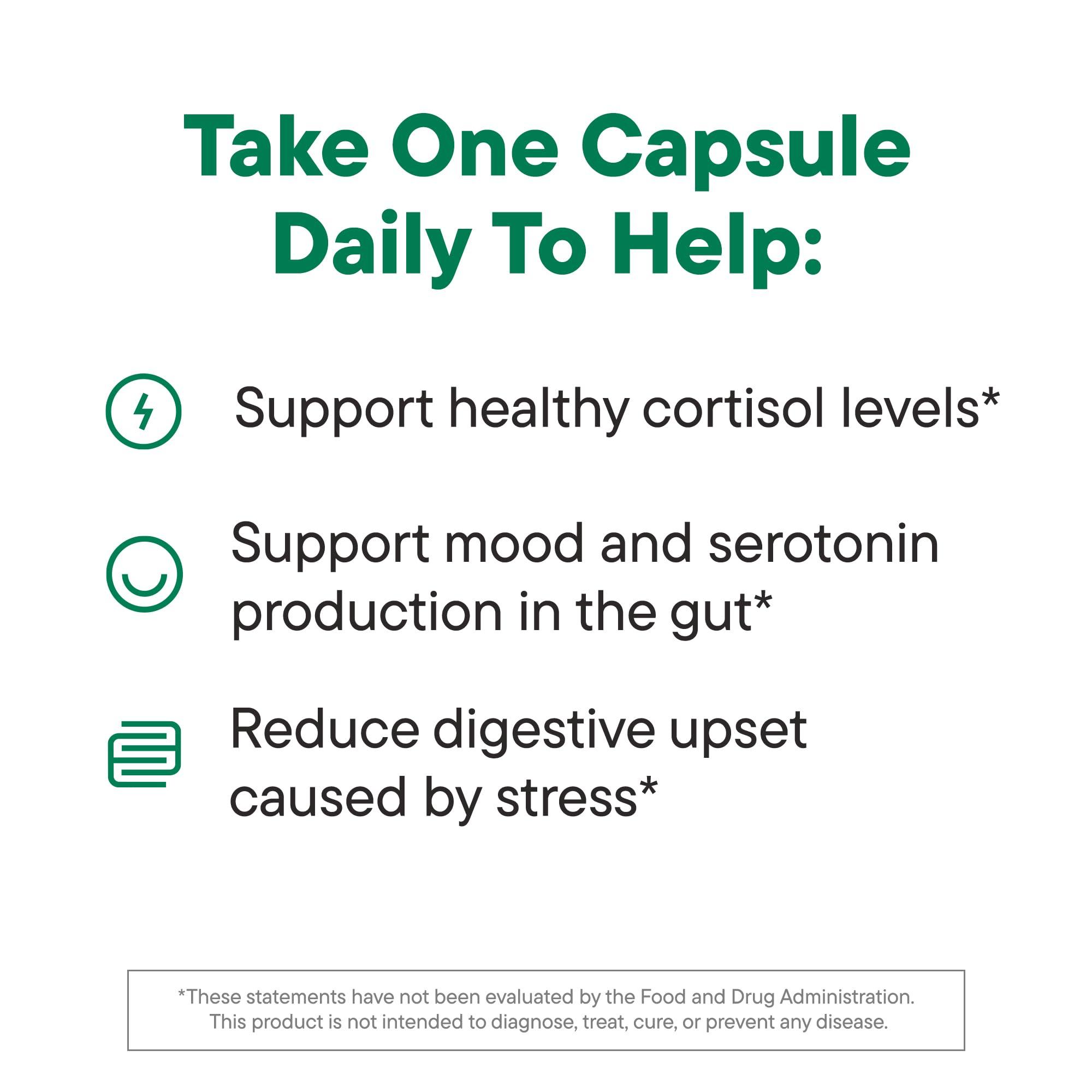 Nouri Daily Nouri Stress Support Probiotic | Cortisol Management & Daily Stress Relief with Prebiotics, Probiotics & Plant-Based Omega Oil | PreForPro Bacteriophage | 30-Day Supply