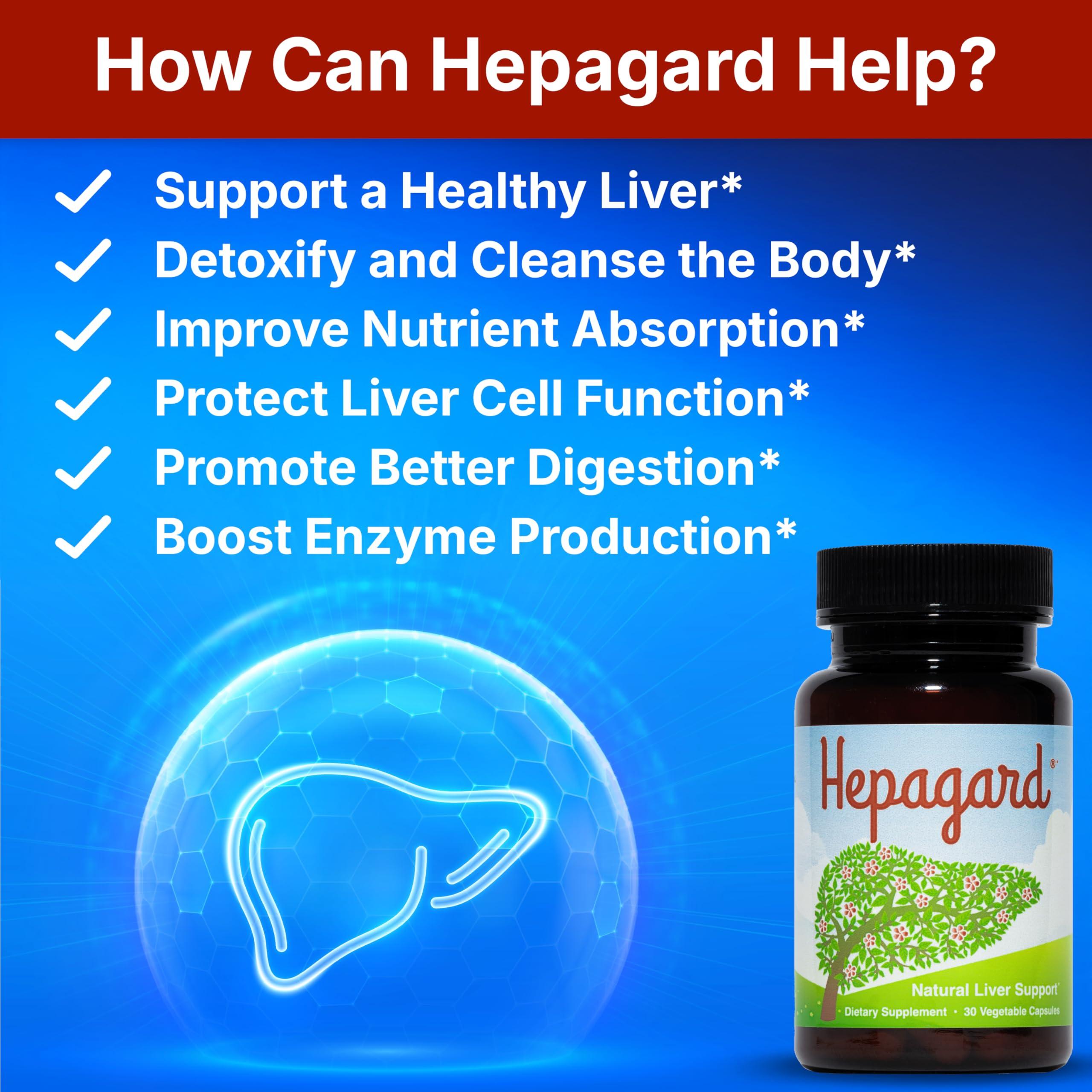 Hepagard Hepagard - Natural Liver Support Supplement Capsule with N-Acetyl Cysteine (NAC) - Non-GMO, Gluten-Free