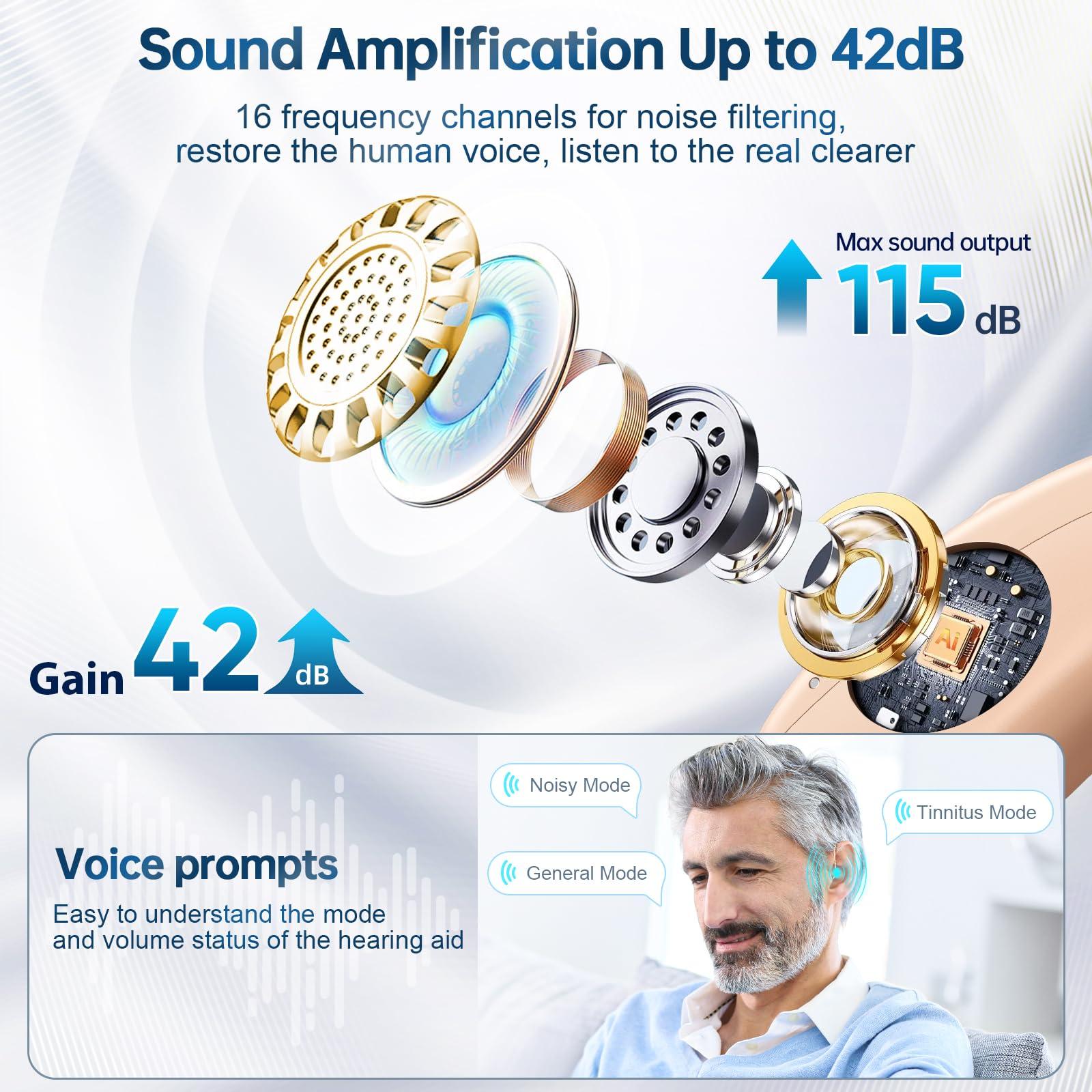 ackture Hearing Aids, RIC Rechargeable Hearing Aids for Seniors Adults with Noise Cancelling, Behind-The-Ear 16-Channel Digital Invisible Hearing Amplifier Devices with LED Charging Case for Moderate to Severe Hearing Loss