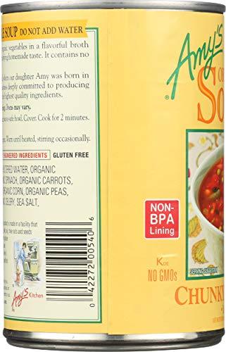 Amy\'s Amy\'s Organic Chunky Vegetable Soup, Low Fat, 14.3-Ounce