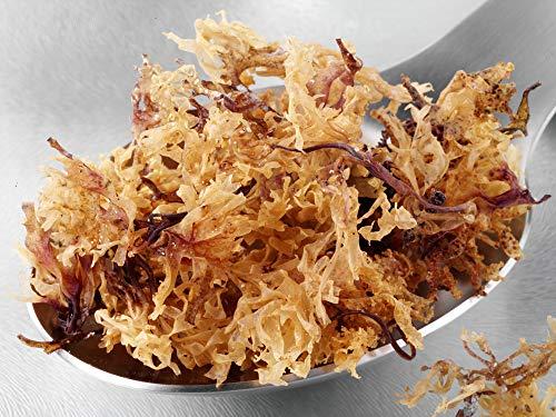 Semaj Dried Sea Moss - Premium 100% Natural - Fresh Irish Moss - 3oz - 4 Pack - by Semaj Products USA