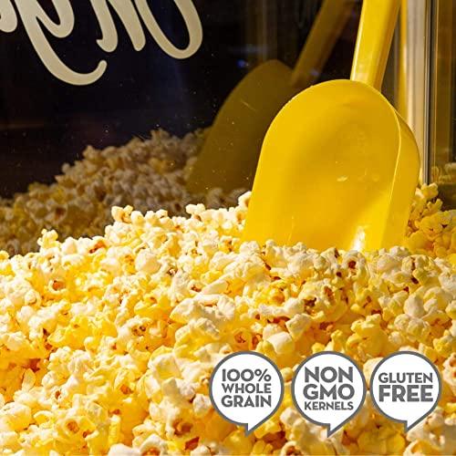 Jolly Time JOLLY TIME All in One Popcorn Kit, Portion Packets with Kernels, Oil and Salt for Movie Theater or Air Popper Machines (24 pack, 8oz Kettle)