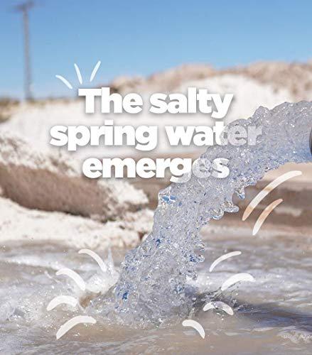 Celtic Sea Salt Celtic Sea Salt Flake Salt 5.3 Oz (150 G), Natural, Handcrafted, Gourmet, Salt Flakes, Salty, 5.3 Oz (Pack of 1)