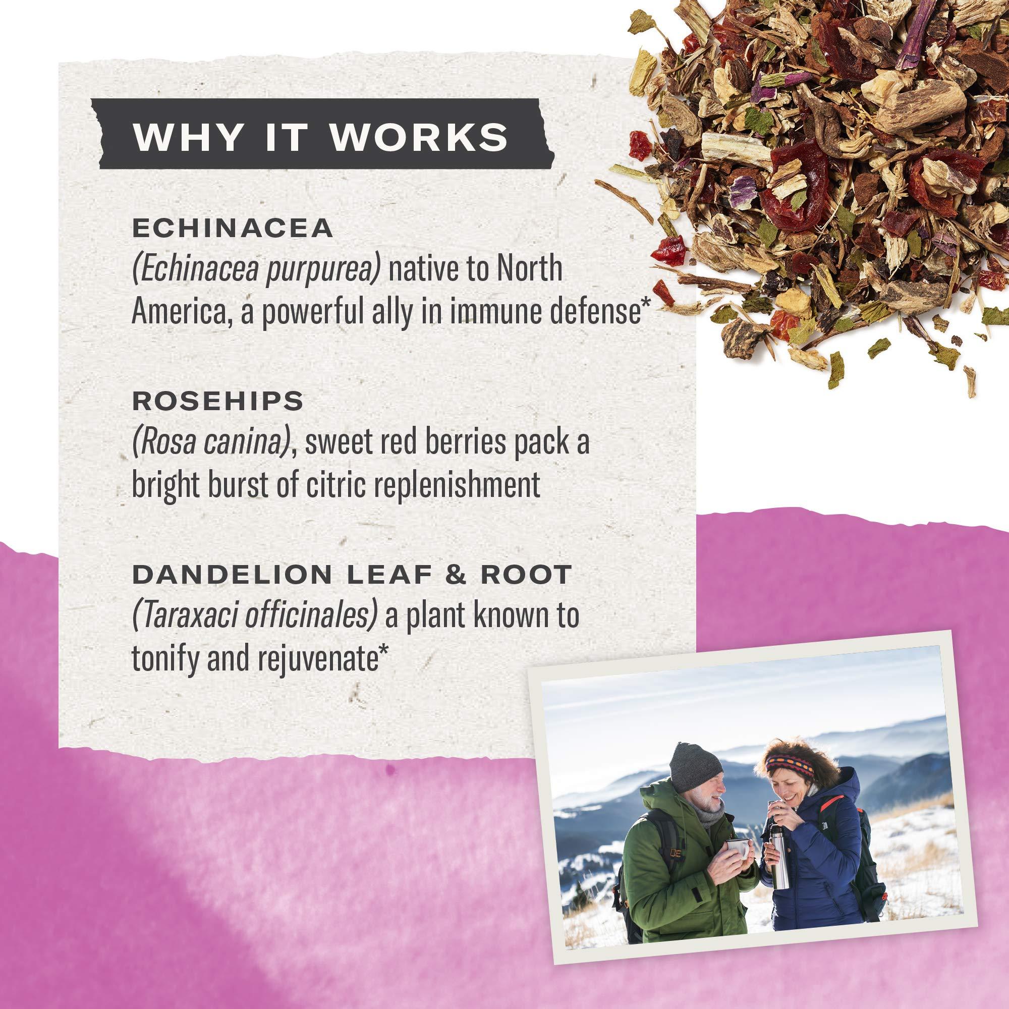 Numi Numi Organic Immune Boost Tea, 16 Tea Bags (Pack of 3), Echinacea, Dandelion and Rosehips, Caffeine Free