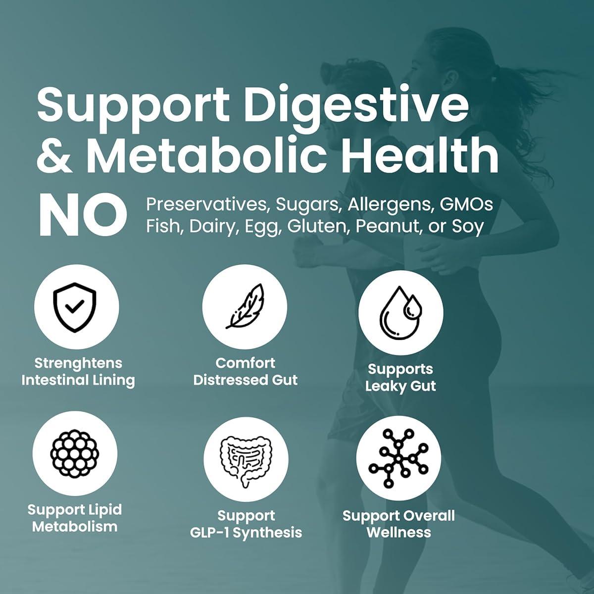 UpNourish Akkermansia Muciniphila Probiotics for Digestive Health - 5 Billion TFU Akkermansia Probiotic for Leaky Gut Repair and Immunity, Prebiotics and Probiotics for Women and Men, 60 Vegan Capsules