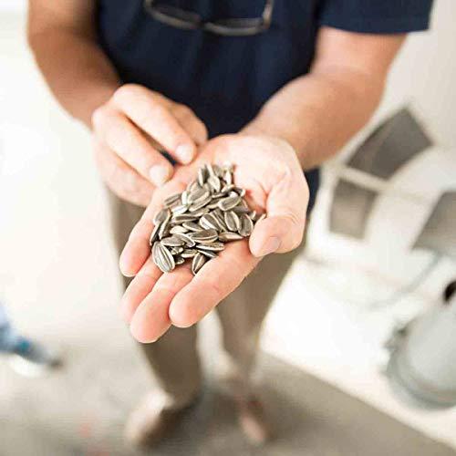 Spitz Spitz Sunflower Seeds, Dill Pickle, 6 Oz (Pack of 9)