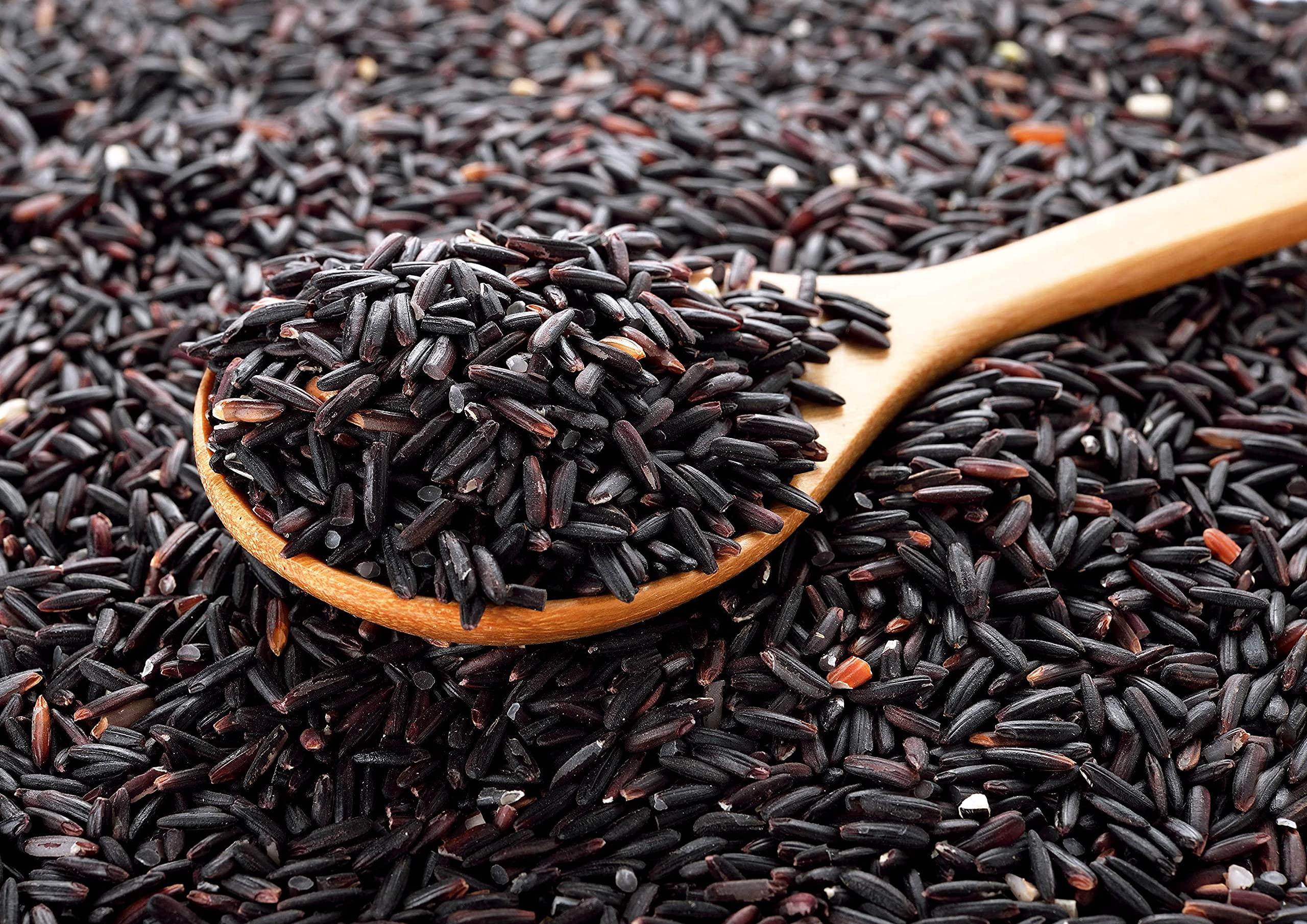 Food to Live Food to Live Black Rice, 1 Pound Medium-Grain Rice, Kosher, Vegan, Bulk. Nutty, and Sweet Flavor. Rich in Antioxidants and Dietary Fiber. Great for Stir-Fries, Salads, and Pudding