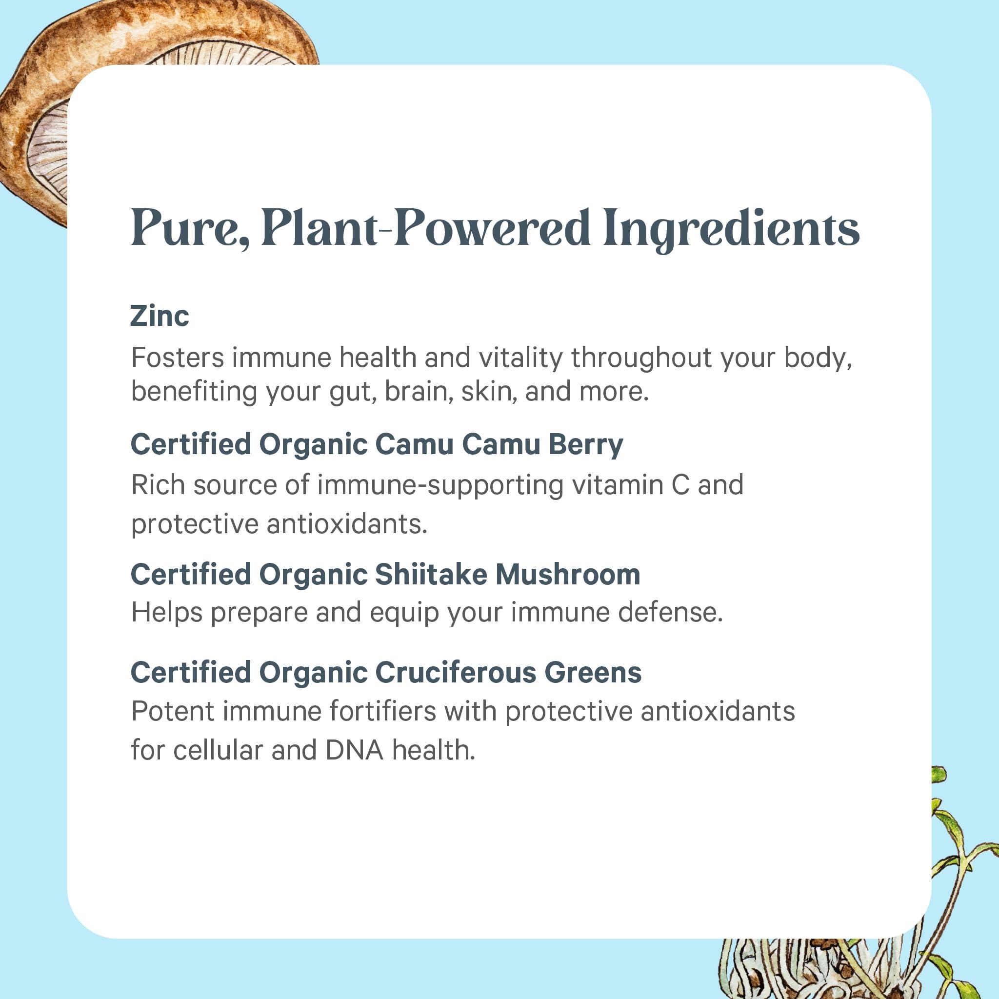 PURE SYNERGY PURE SYNERGY Zinc Complex | Zinc Immune Support Supplement | Natural, Vegan Zinc Complex with Vitamin C and Organic Whole Foods | for Immune, Brain, and Skin Health (60 Capsules)