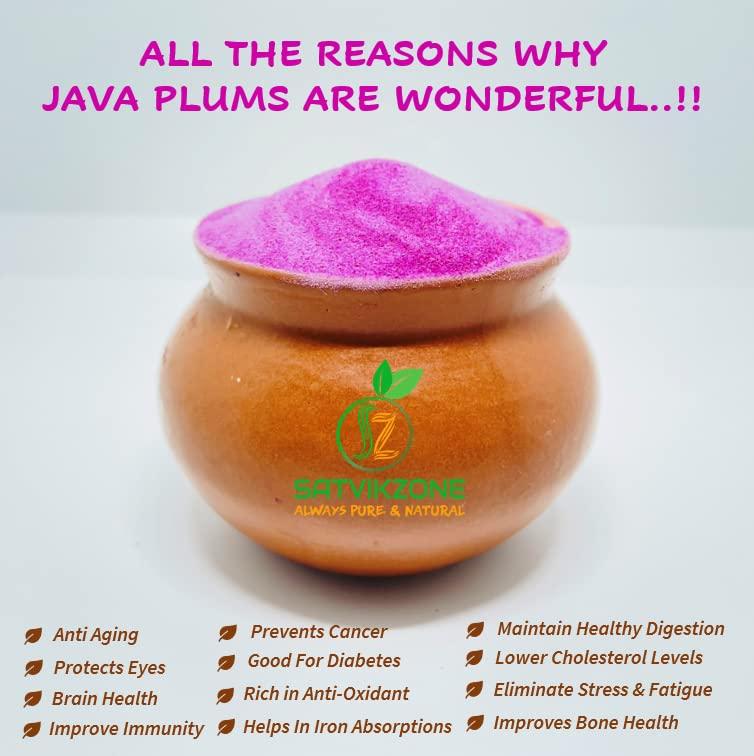 SATVIKZONE Java Plum Jamun Fruit Powder, 100% Natural, 6 oz, Vegan Friendly, No Added Sugar, No Artificial Flavors/Colors/Preservatives, NON-GMO, Eco-friendly Standup Resealable Pouch