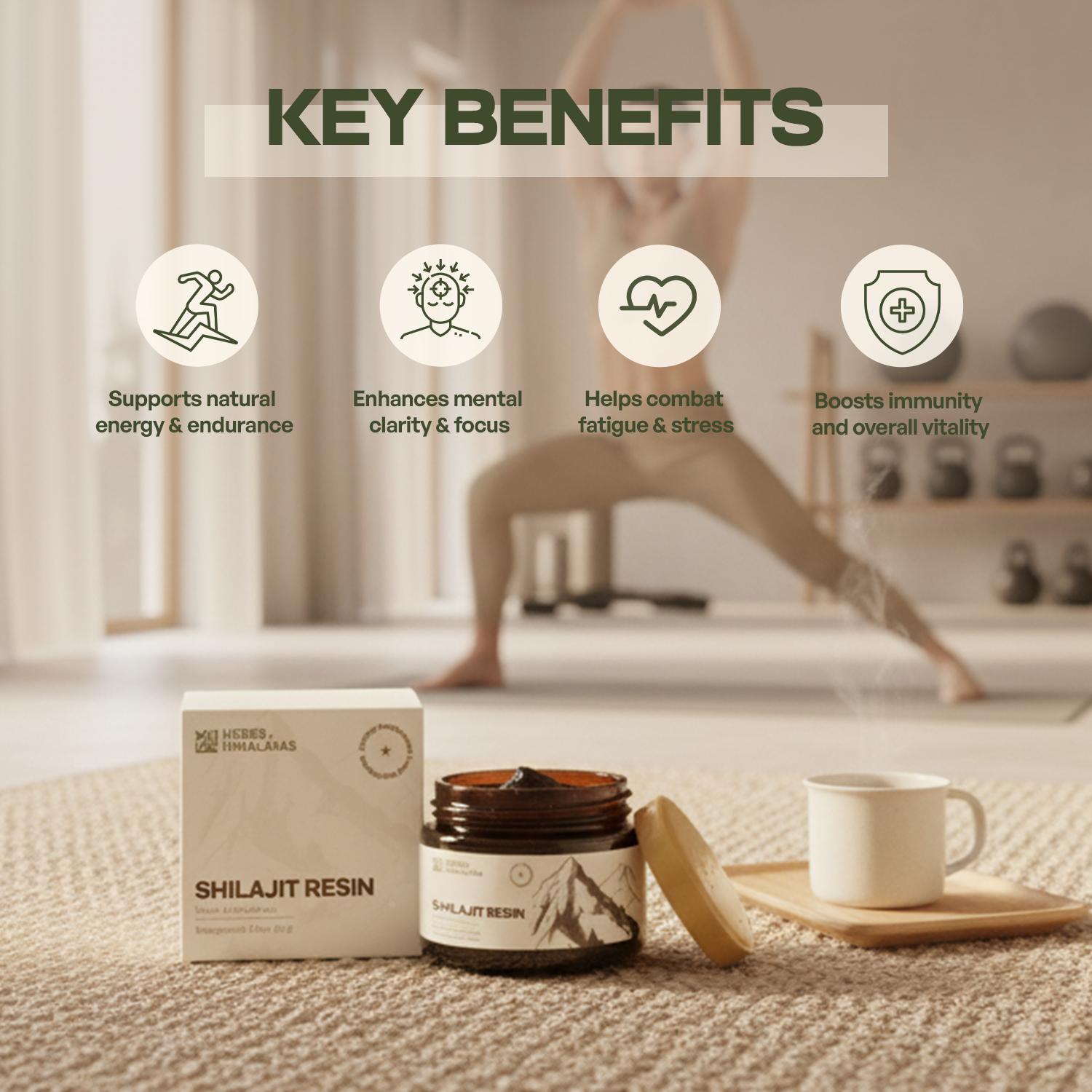 Herbs of Himalayas Herbs of Himalayas Shilajit Resin – Natural Strength (20 g)