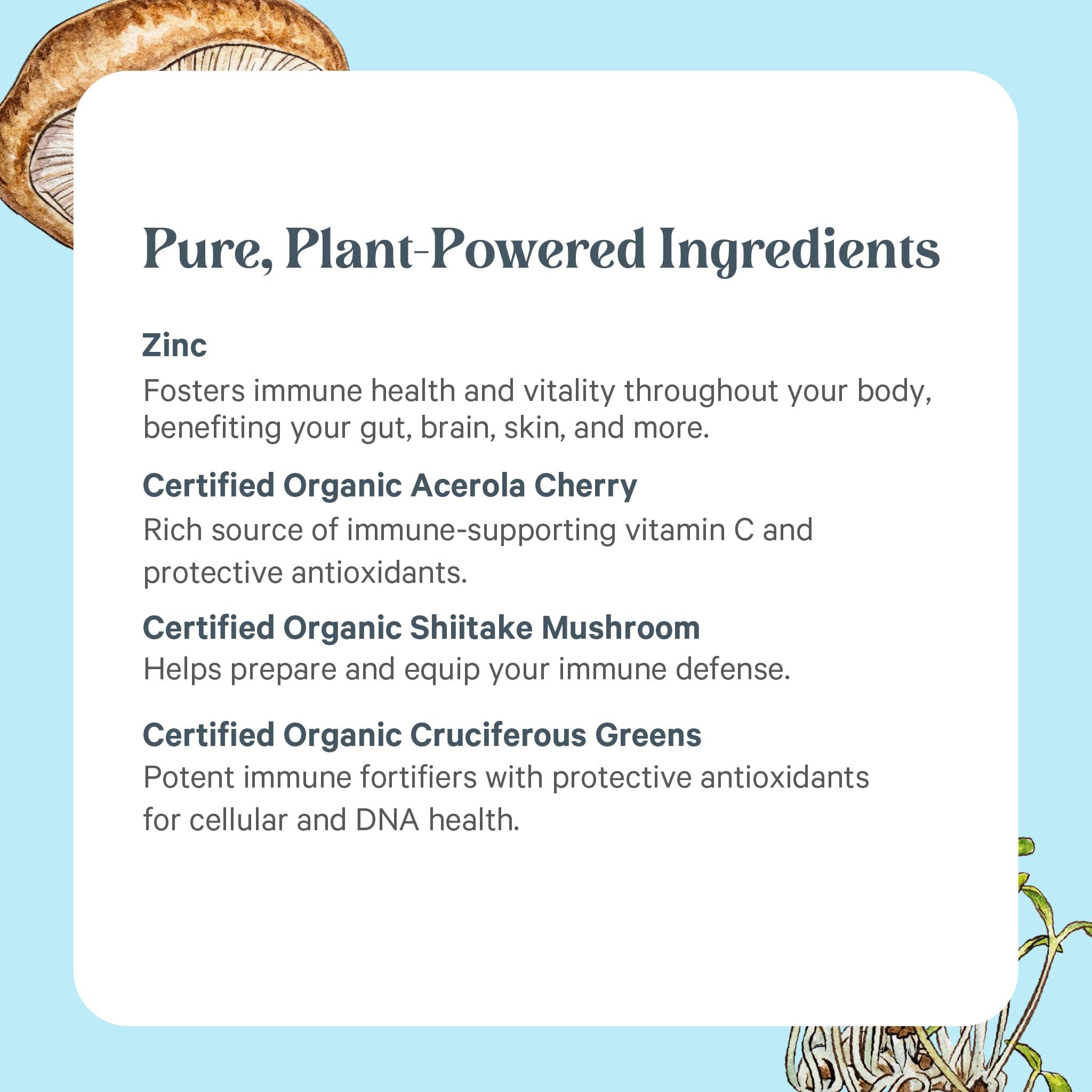 PURE SYNERGY PURE SYNERGY Zinc Complex | Zinc Immune Support Supplement | Natural, Vegan Zinc Complex with Vitamin C and Organic Whole Foods | for Immune, Brain, and Skin Health (60 Capsules)