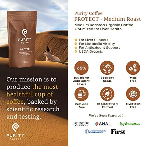 PURITY COFFEE Purity Coffee PROTECT Highest Antioxidant Light-Medium Roast - USDA Certified Organic Specialty Grade Arabica Whole Bean Coffee - Third Party Tested for Mold, Mycotoxins, Pesticides - 12 oz Bag