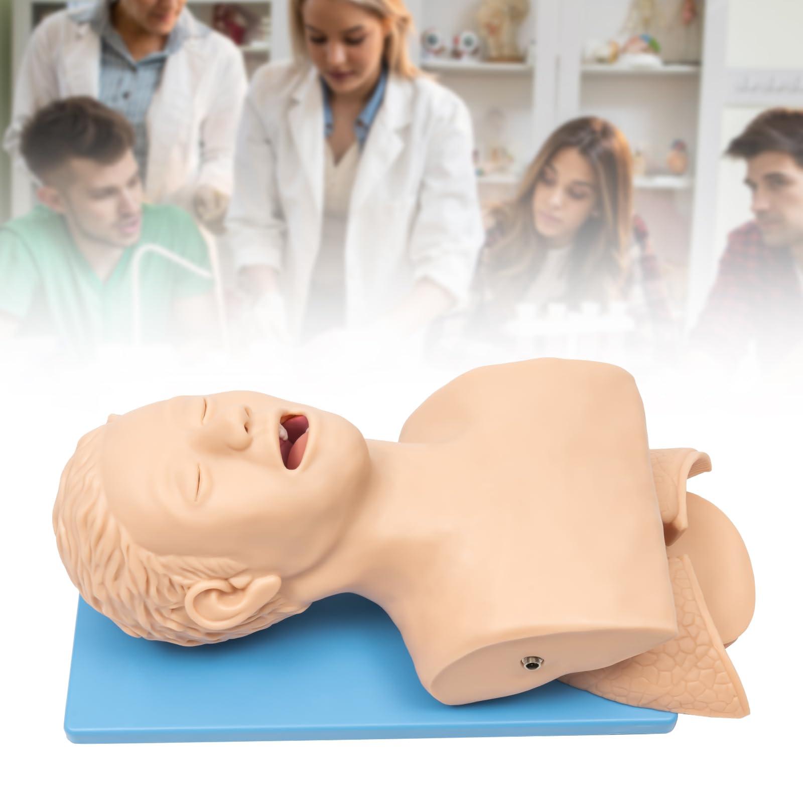 CNCEST CNCEST Adult Intubation Manikin Teaching Model,Airway Management Trainer Tracheal Intubation Training Simulator Model