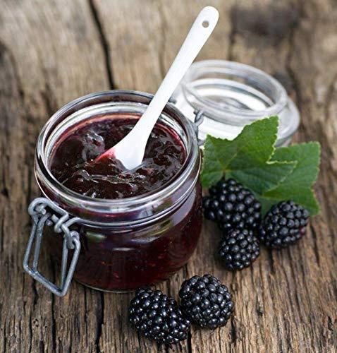 Tipico Chileno 2 X Mermelada Mora Watt\'s. Traditional Blackberry Chilean Jelly Jam Marmalade.2 X 250 Grms (8.8 oz)