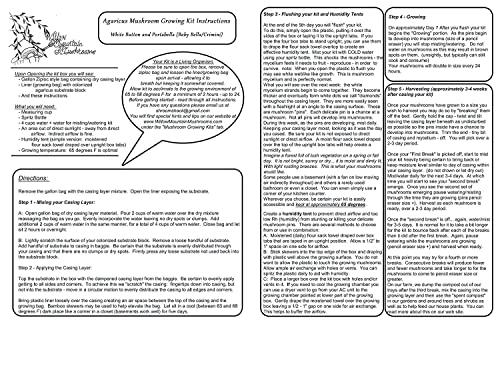 Willow Mountain Mushrooms Mushroom Lovers Multi Kit ~ One Each ~ Button, Crimini and Oyster ~ EASY to Grow!!