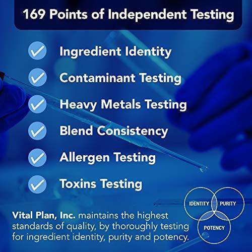 Vital Plan Vital Plan Active Enzymes Supplement by Dr. Bill Rawls - Digestive Enzymes for Gut Health & Digestion - Protease, Bromelain, Lactase, Amylase & Lipase (120 Capsules)