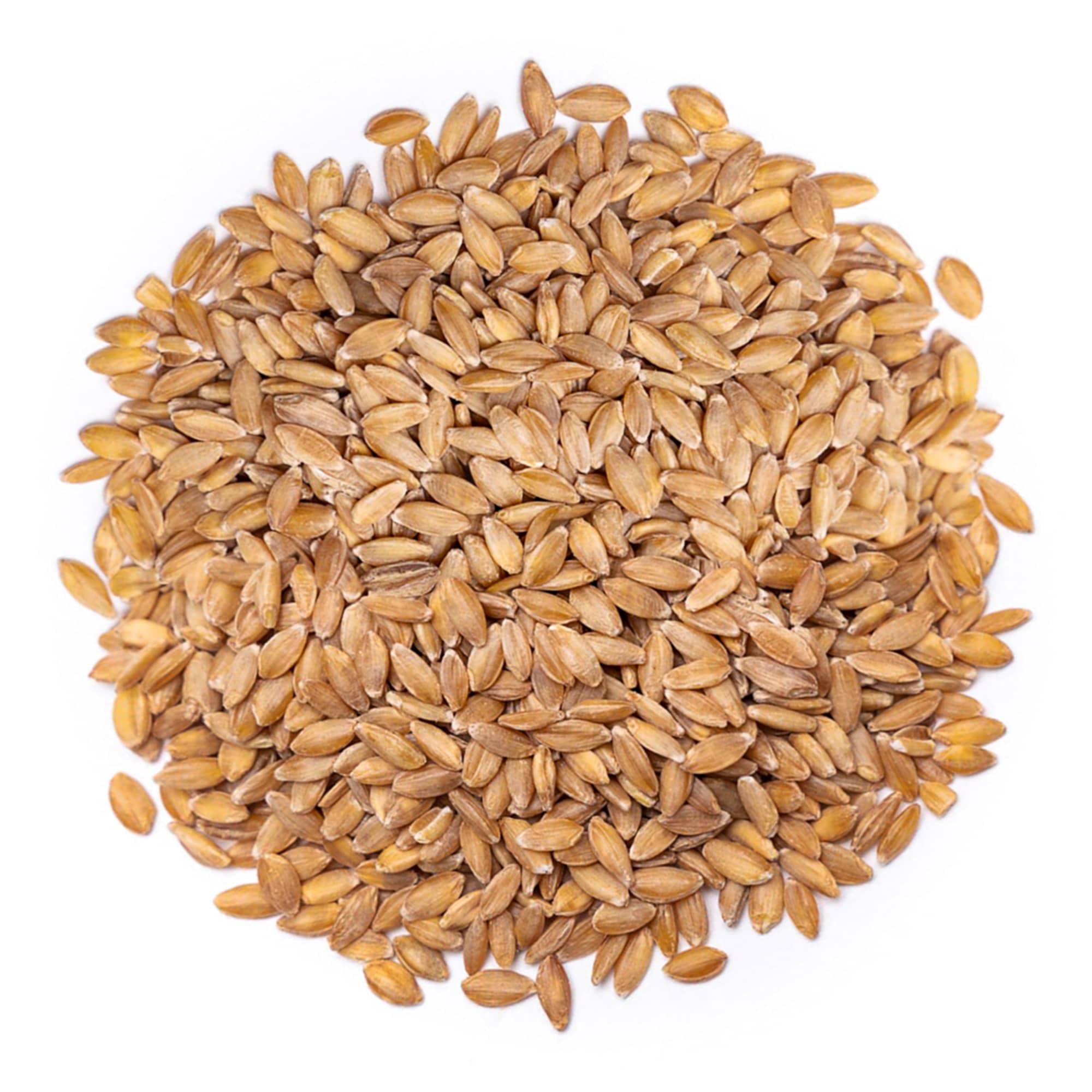 Food to Live Food to Live - Organic Einkorn Wheat Berries, 20 Pounds Non-GMO, Good Source of Protein, Fiber, and Vitamins. Low-glycemic Index. Kosher