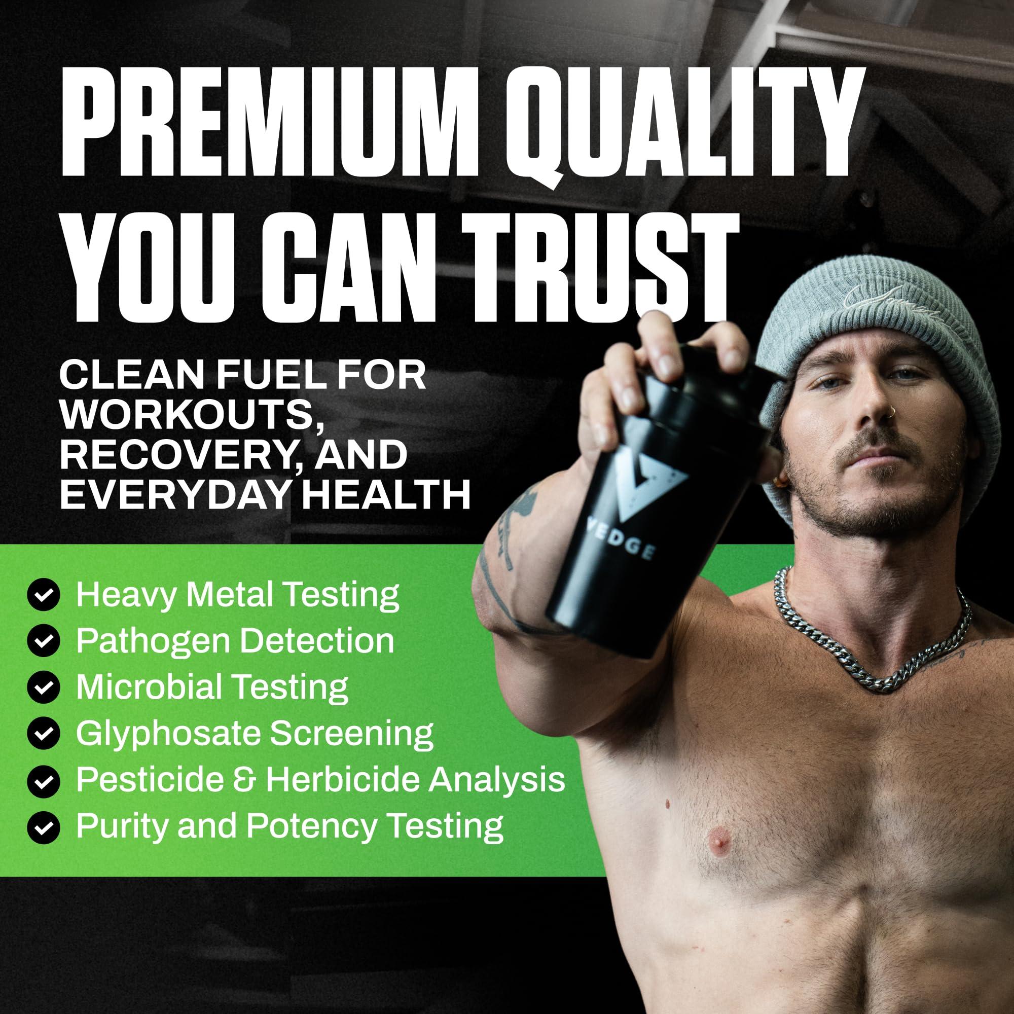 vedge vedge Certified Organic Plant Protein Cold Brew Latte (20 Servings) - Plant-Based Vegan Protein Powder, USDA Organic, Gluten Free, Non Dairy Nutrition Plant Protein