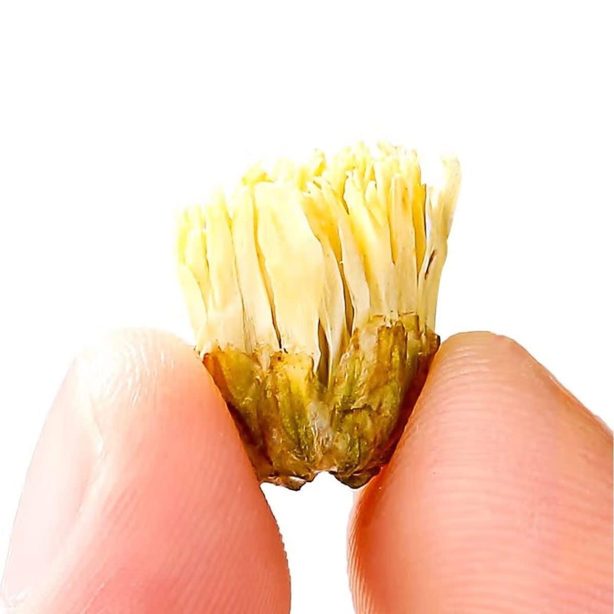 TEAERPKLAE Chrysanthemum Tea Flowers 150g / 5.3oz Chrysanthemum loose tea chrysanthemum tea Dried Fetal Chrysanthemum Bud 150g