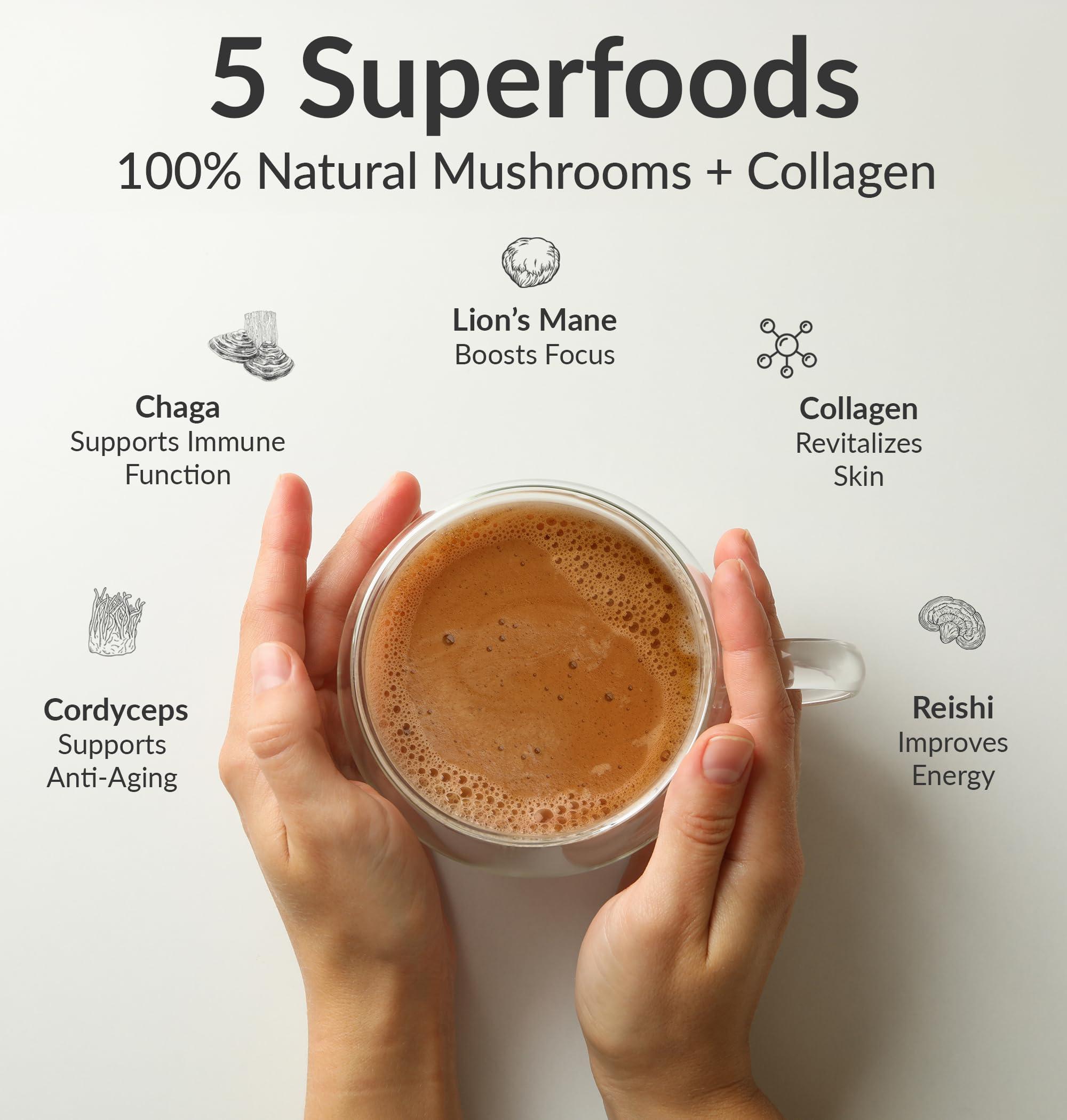 BiOptimizers BiOptimizers Mushroom Breakthrough Drink Salted Caramel : 5 Superfoods Functional Mushrooms Plus Collagen Non-Crash Energy Boosts Focus Gut Health : Powder Lions Mane, Chaga and Reishi (15 Servings)