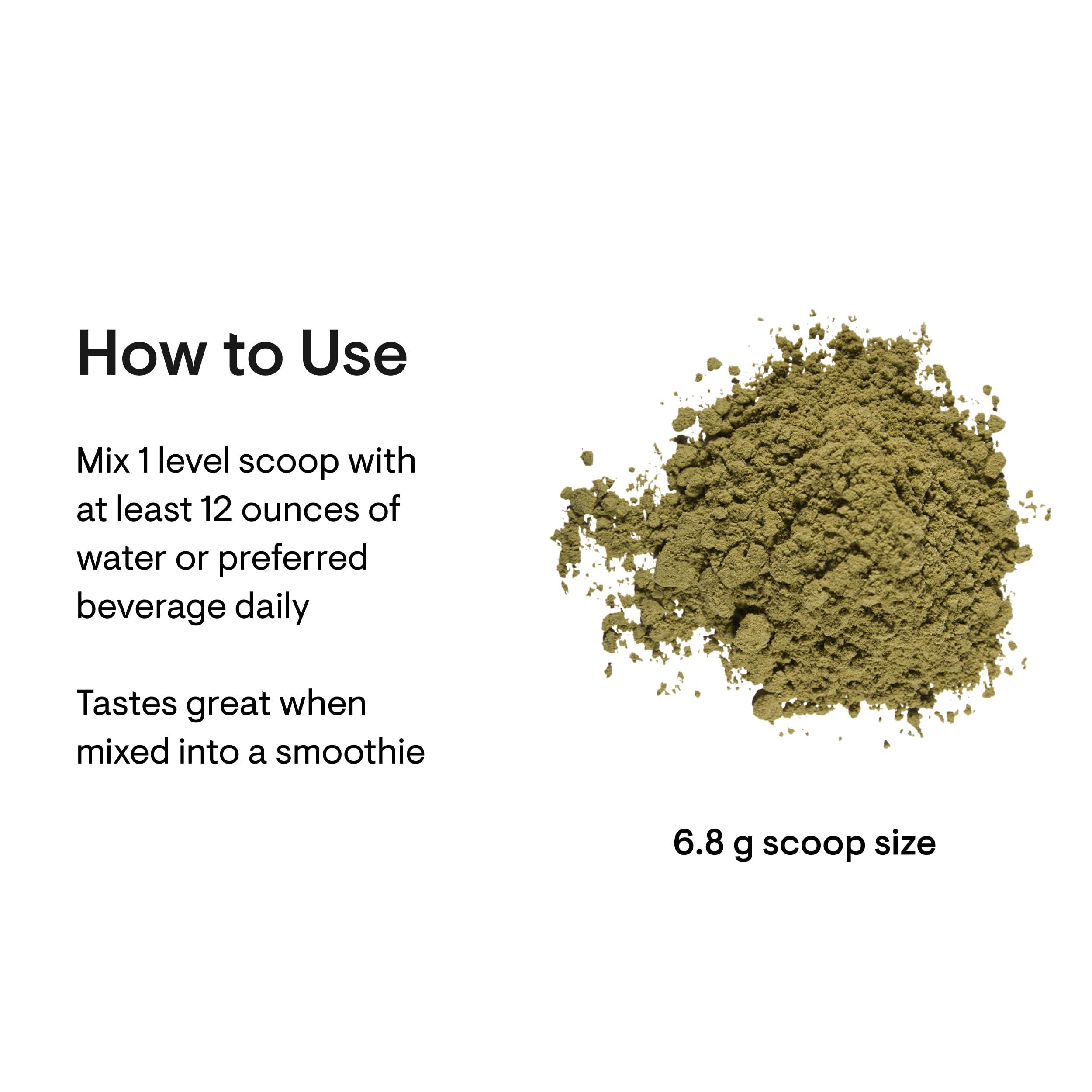 THORNE THORNE Daily Greens Plus - Comprehensive Greens Powder with Matcha, Spirulina, Moringa and Adaptogen, Mushroom and Antioxidant Blends - Refreshing, Mint Flavor 7.2 Oz - 30 Servings