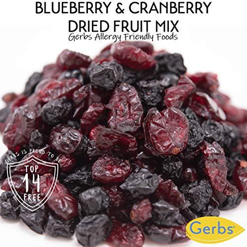 GERBS GERBS Blueberry & Cranberry Dried Fruit Snack Mix 2 LBS. Premium Grade | Top 14 Food Allergy Free | Resealable Bulk Bag | Made in USA | Packed with Antioxidants | Gluten Peanut Tree Nut Free