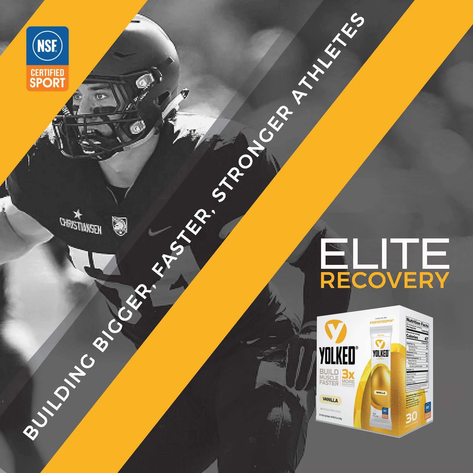 YOLKED YOLKED - Clinically Tested and NSF-Certified All Natural Muscle Building Supplement - Increase Lean Muscle, Reduce Muscle Loss, and Improve Recovery with Protein’s Perfect Partner, 30 Servings