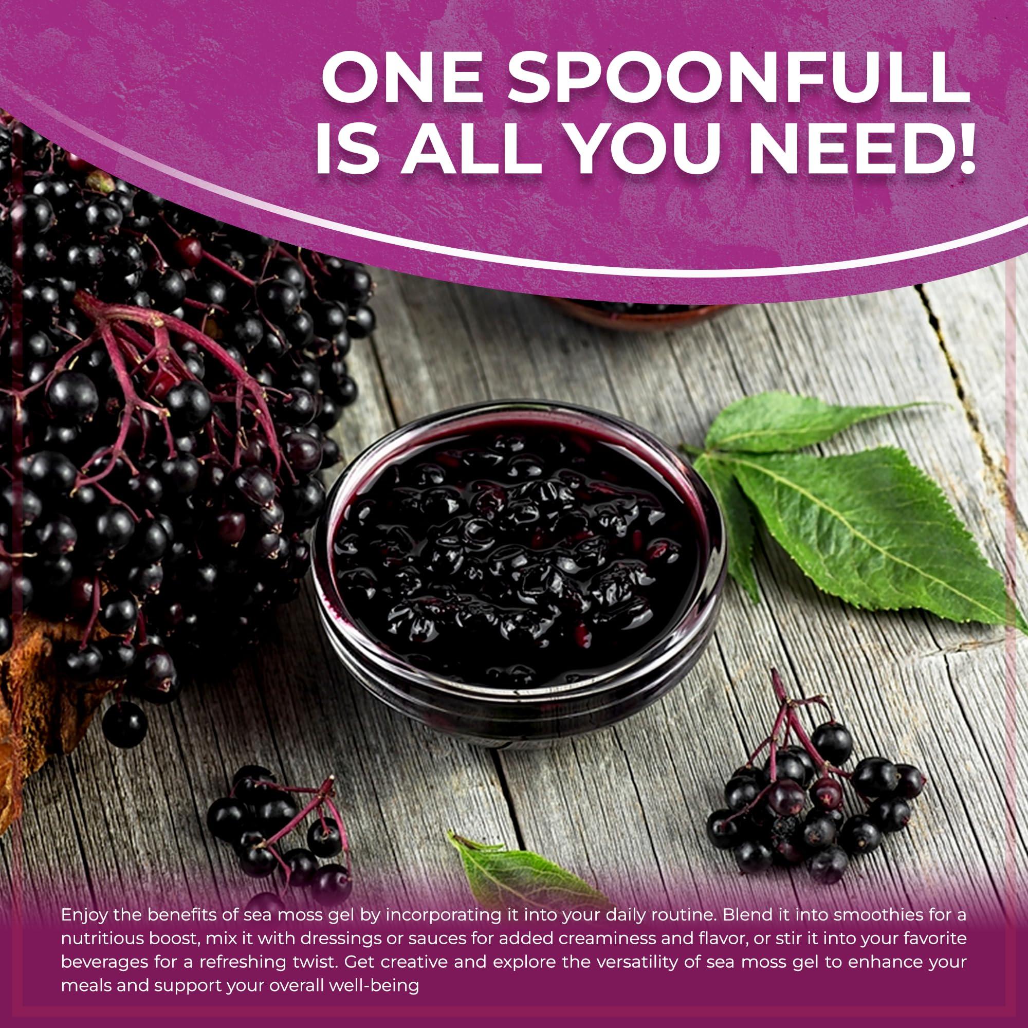 WELLNESS LABSRX Irish Sea Moss Gel Organic Raw - Wildcrafted Superfood Seamoss Gel - Elderberry Flavor, Vitamin and Mineral-Rich from Pristine Caribbean Waters, Immune and Digestive Health Support - 10 oz.