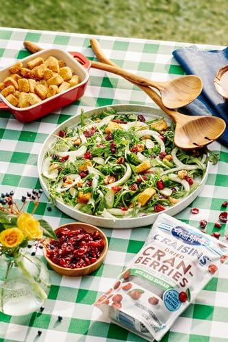 Ocean Spray Ocean Spray Craisins, 50% Less Sugar Dried Cranberries, Dried Fruit, 5 Oz Pouch (Pack of 1)