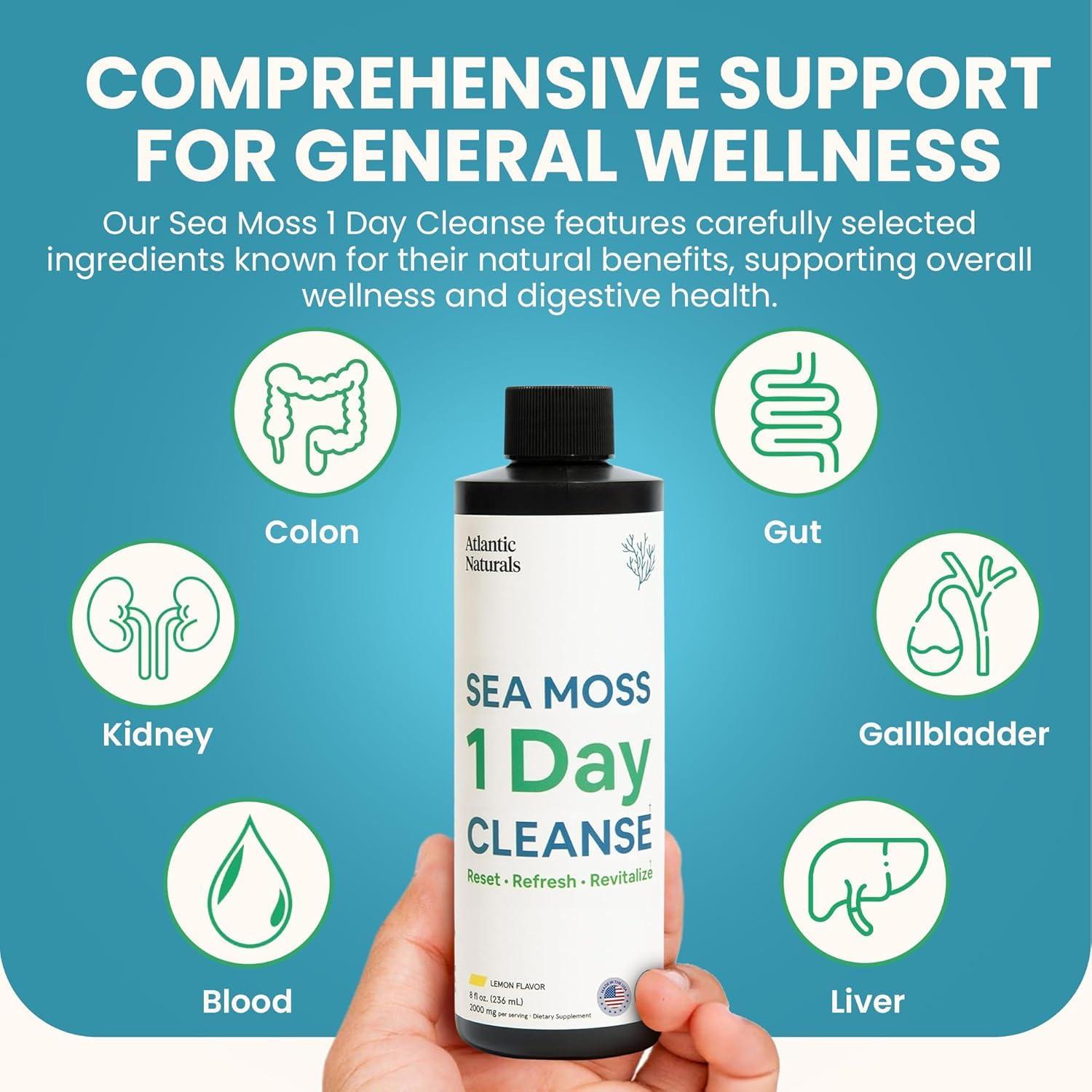 Atlantic Naturals Atlantic Naturals - 1 Day Colon Cleanse Full Body Detox Drink - Sea Moss Supplement for Women & Men, Gut Health, Kidney & Liver Immune Energy Enhancer Gut Cleanse - Lemon Flavor Juice, 8 fl oz