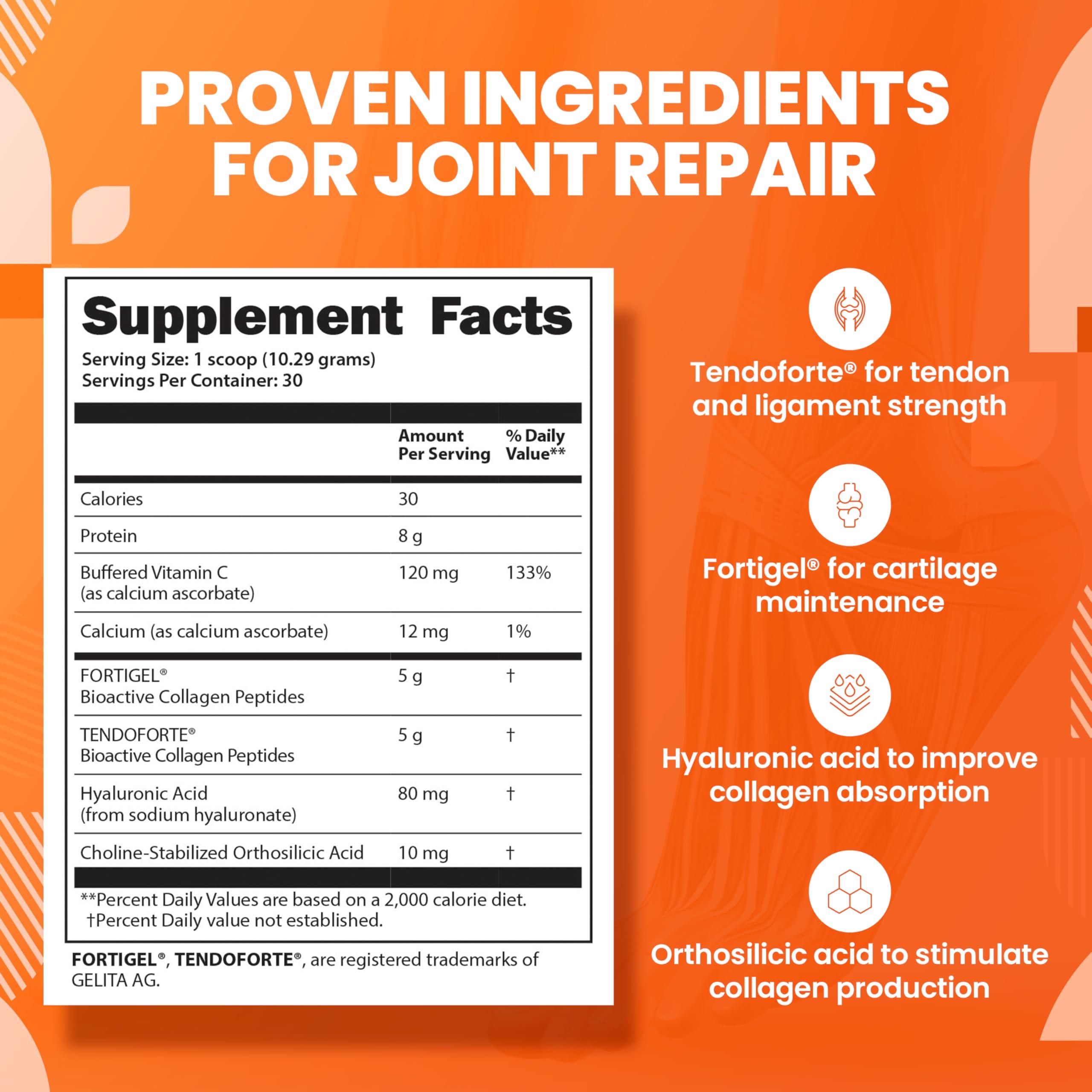 SaltWrap SaltWrap Collagen Synthesis Powder - Collagen Peptides for Joint Recovery with Fortigel & Tendoforte, Collagen for Women, Collagen for Men, Collagen Protein, Supports Tendons, Ligaments, NSF Certified