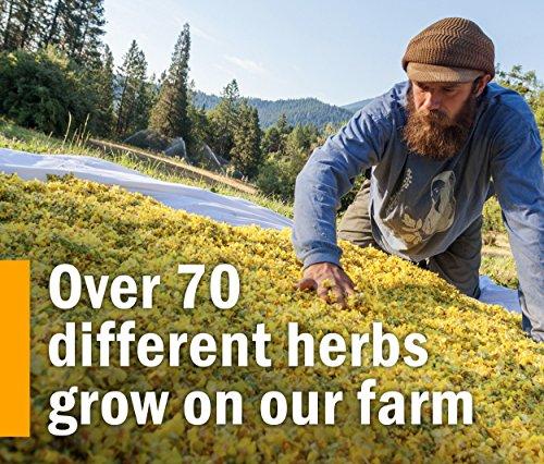 Herb Pharm Herb Pharm Certified Organic Super Echinacea Liquid Extract Drops for Active Immune System Support, 2 Oz