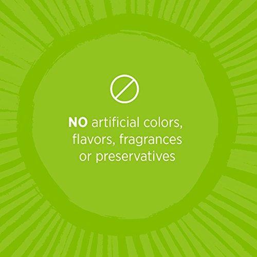 Tom's of Maine Tom's of Maine ADA Approved Fluoride Children's Toothpaste, Natural Toothpaste, Dye Free, No Artificial Preservatives, Outrageous Orange Mango, 5.1 oz. 3-Pack (Packaging May Vary)