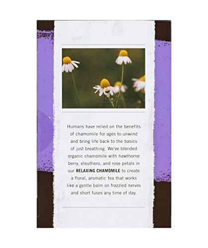 Allegro Coffee Allegro Tea, Organic Relaxing Chamomile Tea Bags, 20 ct (Pack of 2)