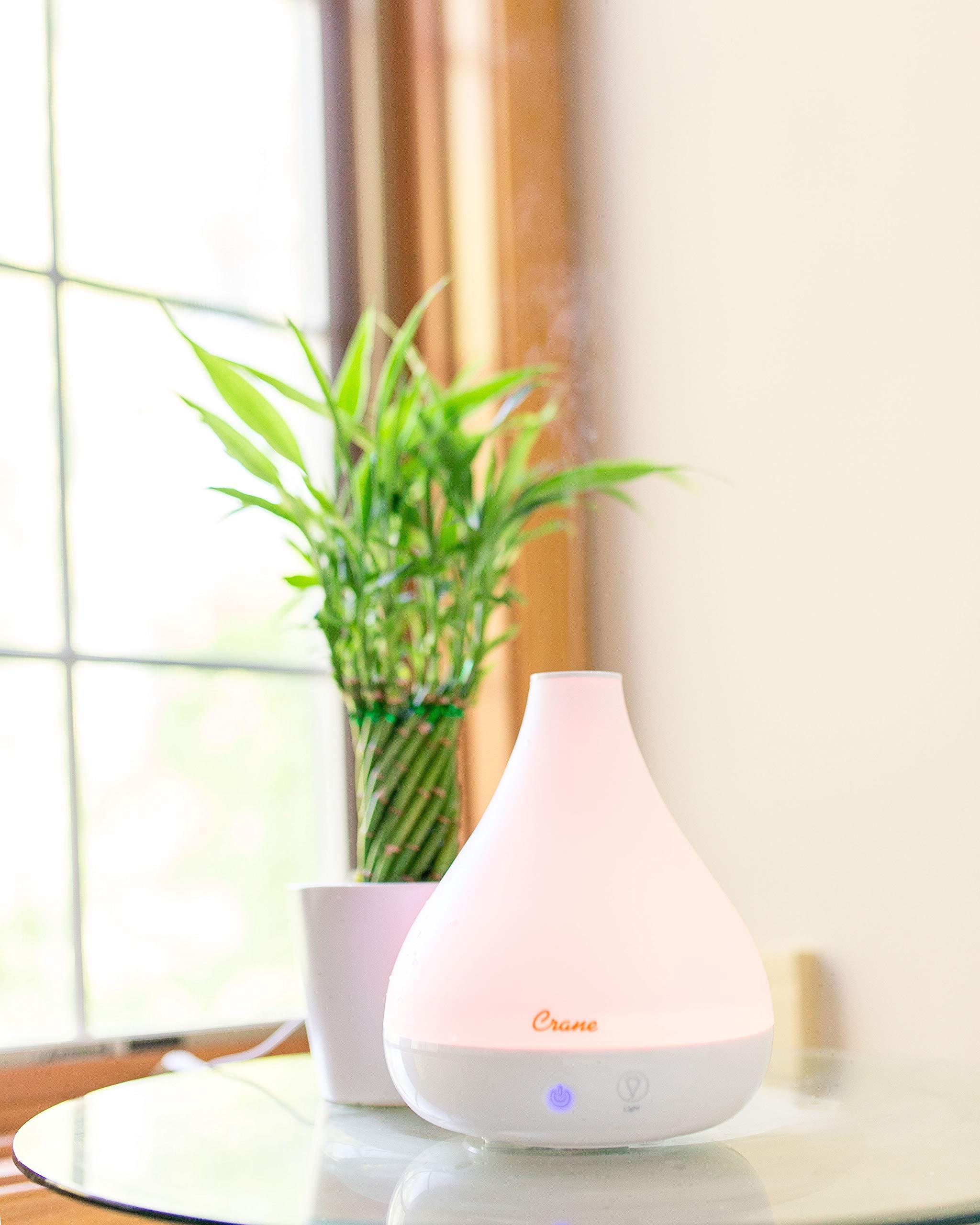 Crane Crane Personal Ultrasonic Cool Mist Humidifier and Aroma Therapy Diffuser, Optional Color Changing Nightlight Included, for Home, Hotels, and Office, 0.35 Gallon 1.5 Liter, White (Pack of 2)