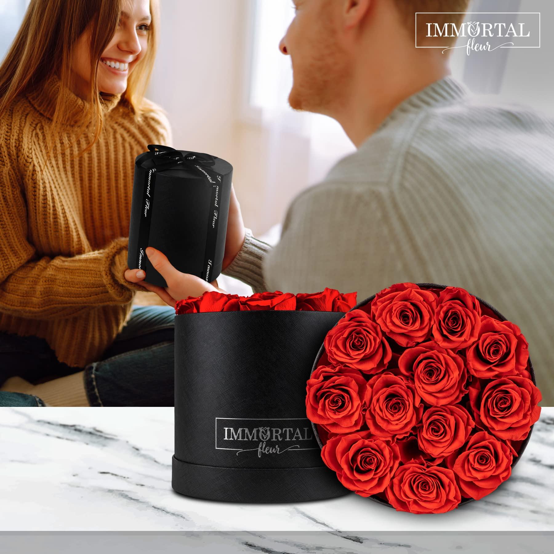 Marde Ross & Company Bush Bean Red Kidney Bean Seeds