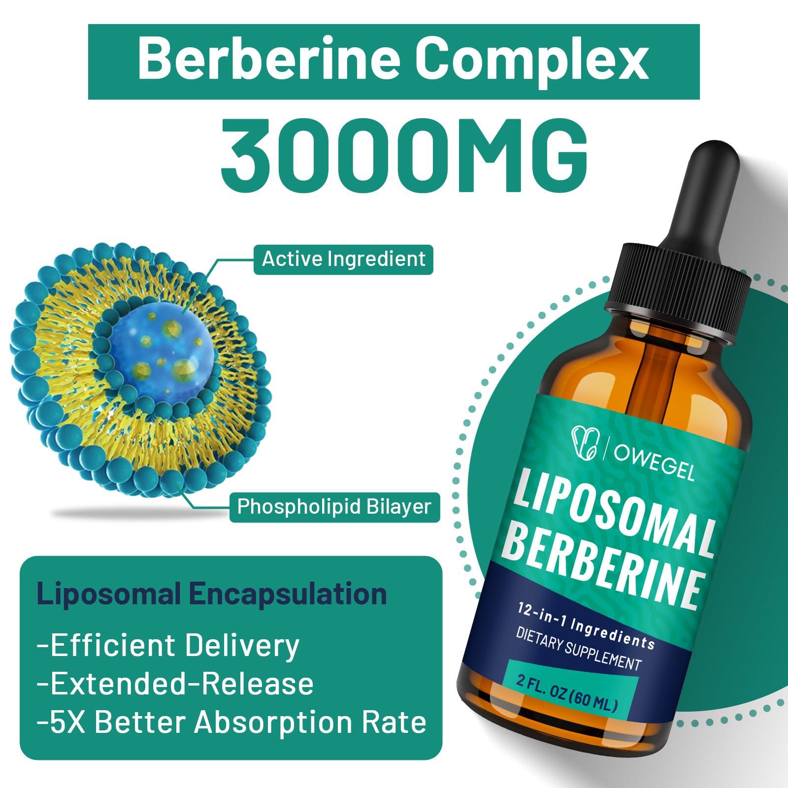 owegel owegel Berberine HCL Supplement 3000mg - Highly Absorbable Liposomal Berberine Liquid Drops - 12 in 1 Natural Ingredients - AMPK Activator - Supports Digestive - 2 Fl Oz