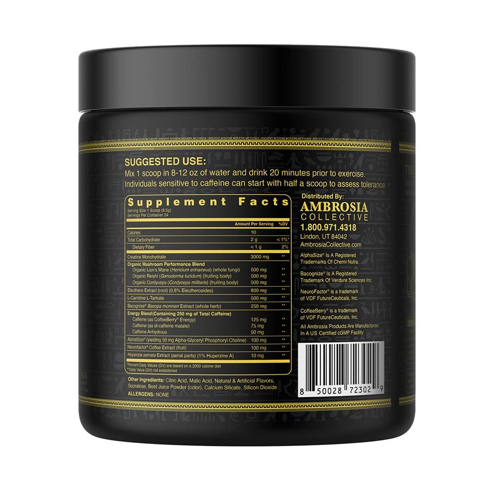 Ambrosia Ambrosia Kinetic Organic Preworkout, Mushroom Enhanced Natural Pre Workout Supplement, Nootropic Superfood Powder for Energy (Strawberry Guava)