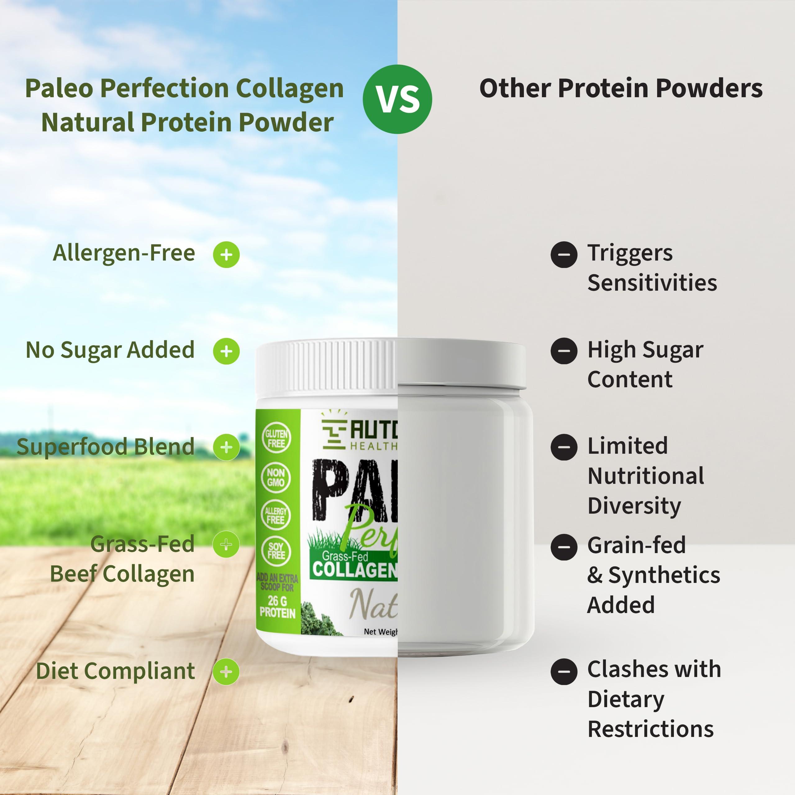 AUTOIMMUNE HEALTH & NUTRITION Paleo Perfection Natural Grass Fed Beef Collagen Protein Powder for Men & Women w/ Apple Fiber, Carrot, Broccoli - 300g Paleo, Keto, SCD, AIP Protein Powder & Superfood Blend - Unflavored, Unsweetened