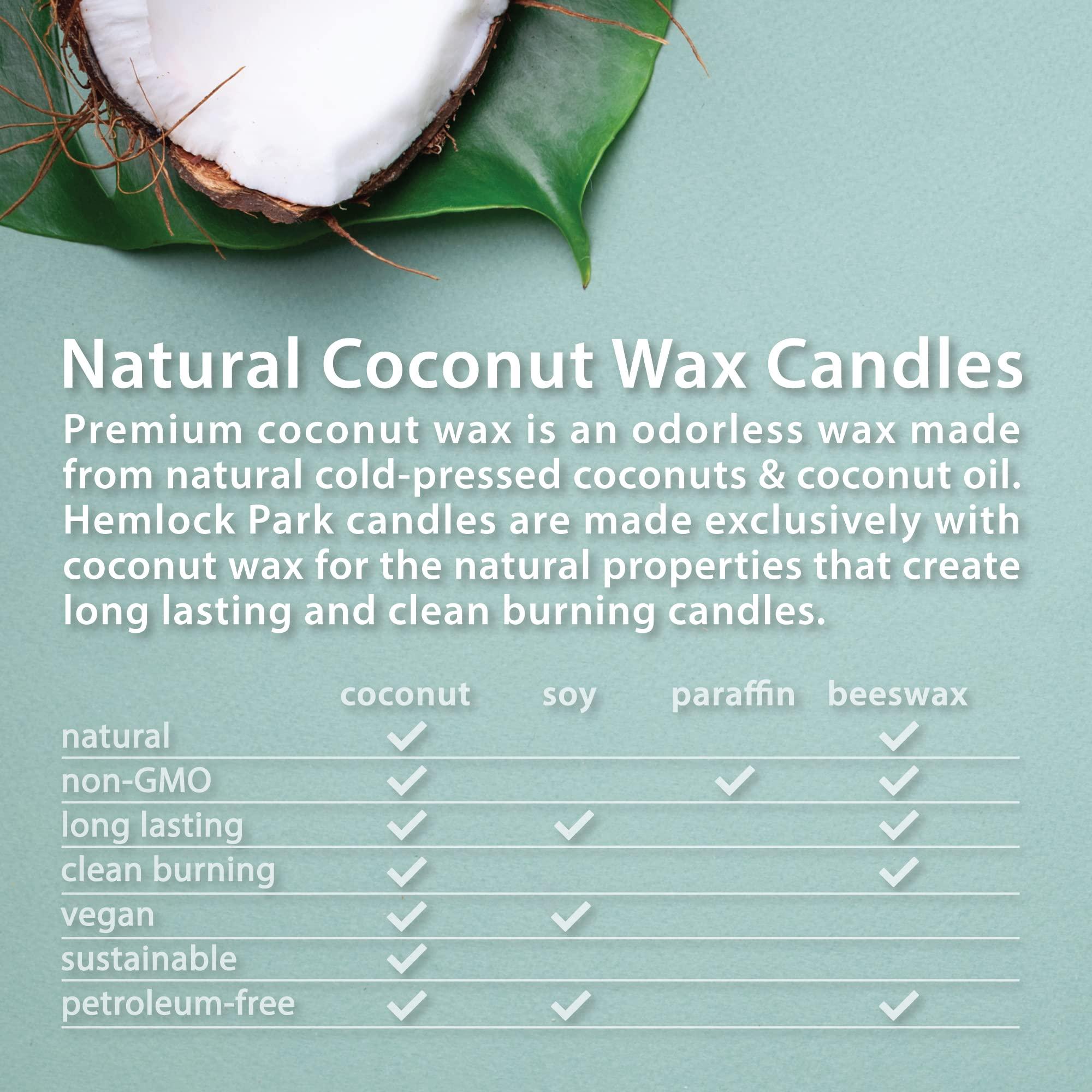 Hemlock Park Hemlock Park Crackling Wood Wick Candle Handcrafted with Natural Coconut Wax and Essential Oils (Large 16 oz, Sandalwood)