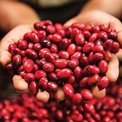 Green Mountain Coffee Roasters Green Mountain Coffee Roasters, Caramel Vanilla Cream, Ground Flavored Coffee, Light Roast, Bagged 12oz.