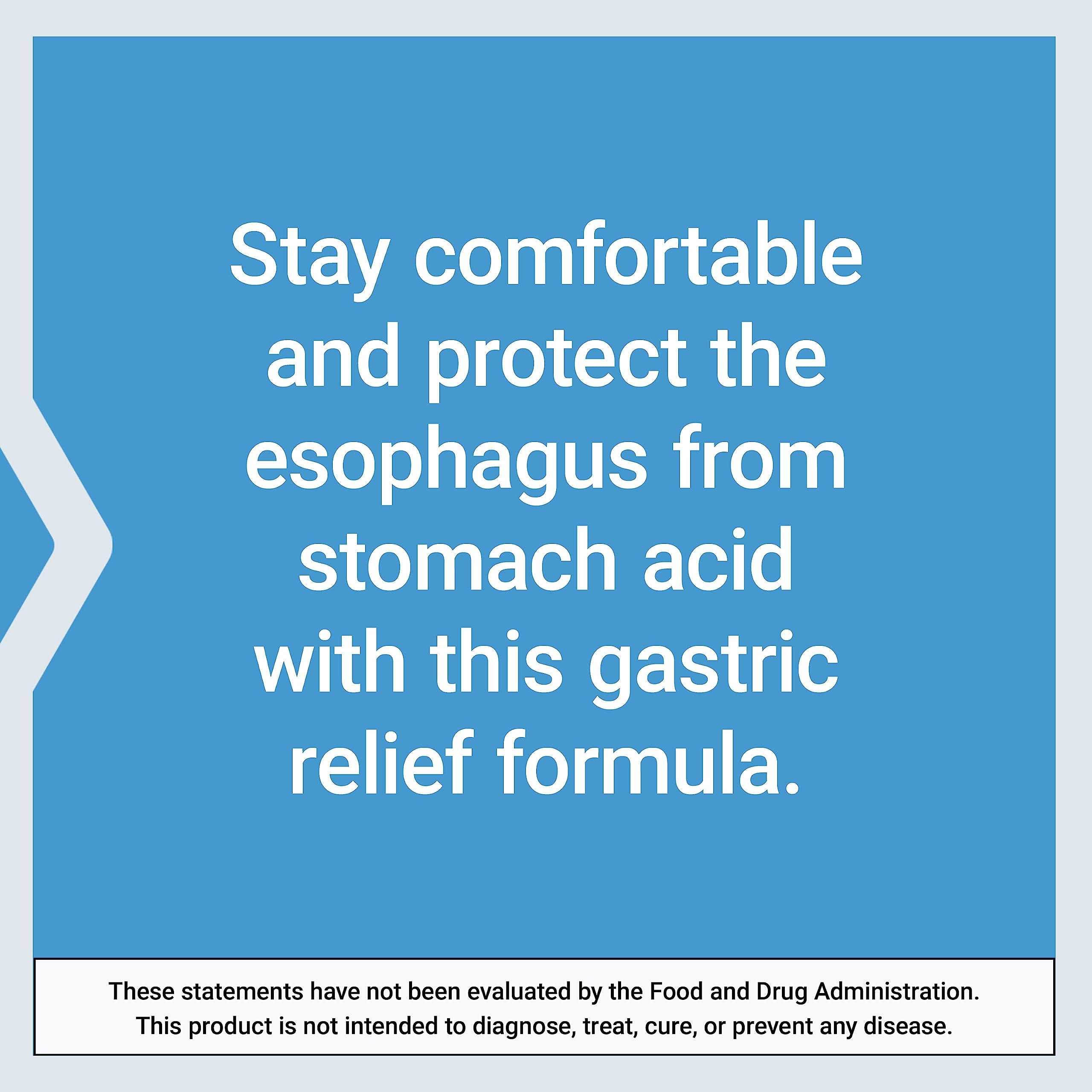 Life Extension Life Extension Esophageal Guardian, alginic Acid, Potassium Bicarbonate, get Long-Lasting Relief from gastric Distress, Vegetarian, Non-GMO, Gluten-Free, 60 Vegetarian chewable Tablets